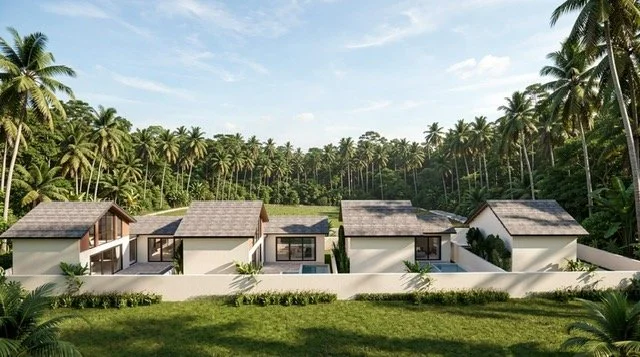 image4.jpeg