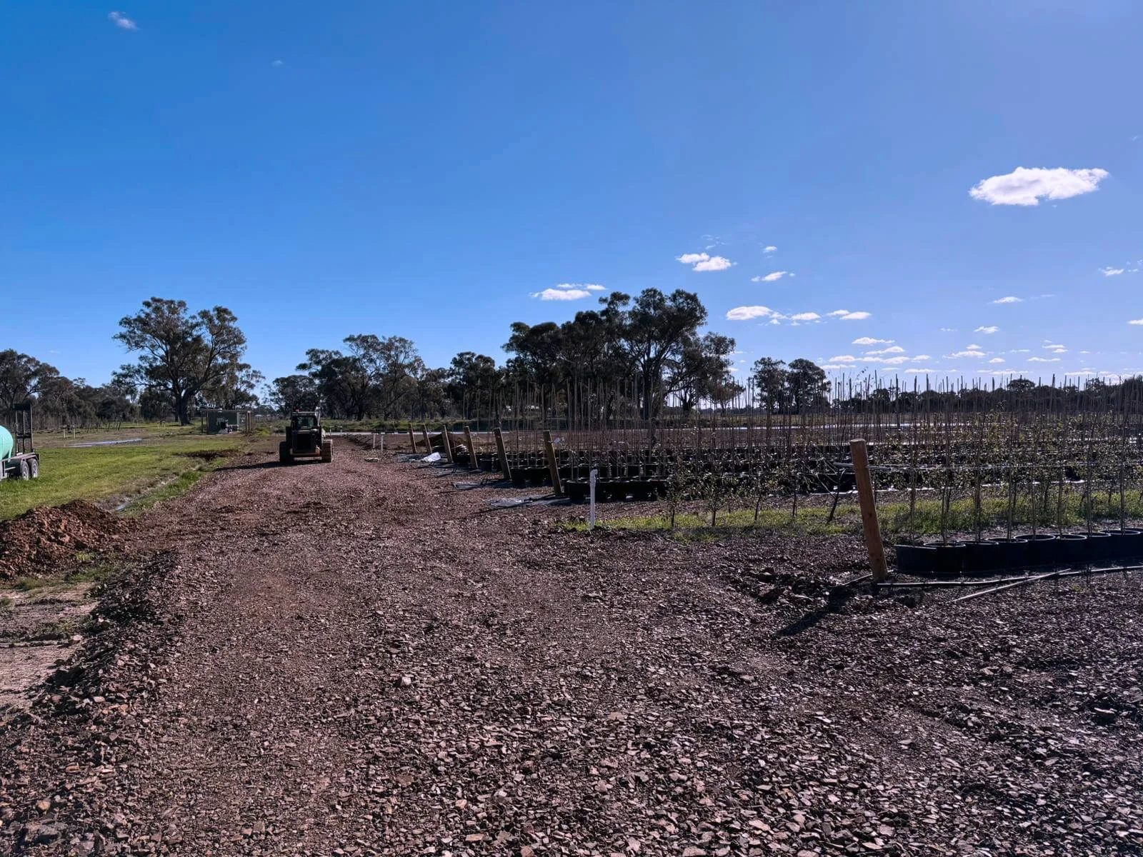 Prepping for Spring: what’s been happening on the Farm this winter?
