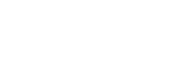 eei.png