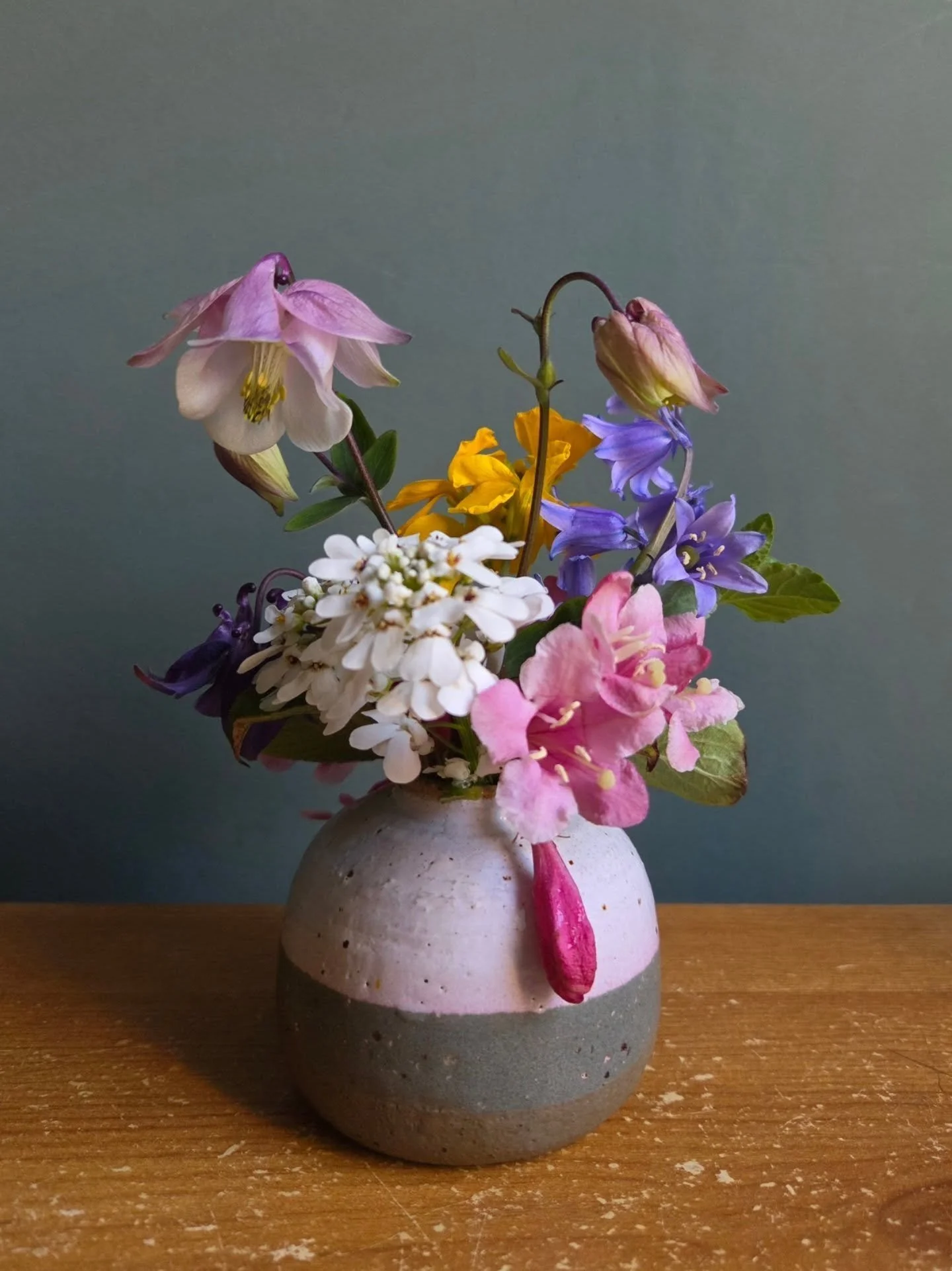 Flowers from my garden to brighten your day 🙂

#flowers