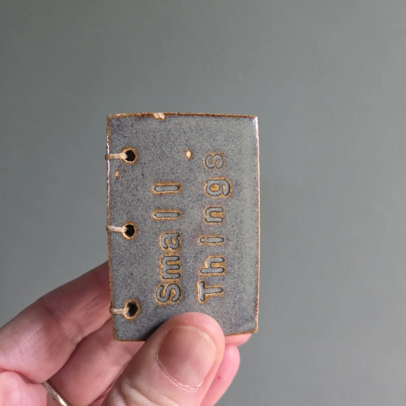 small things book.jpg