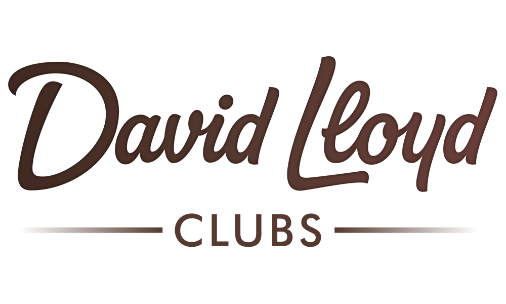 The text 'David Lloyd' written in cursive style with a brown color on a transparent background.