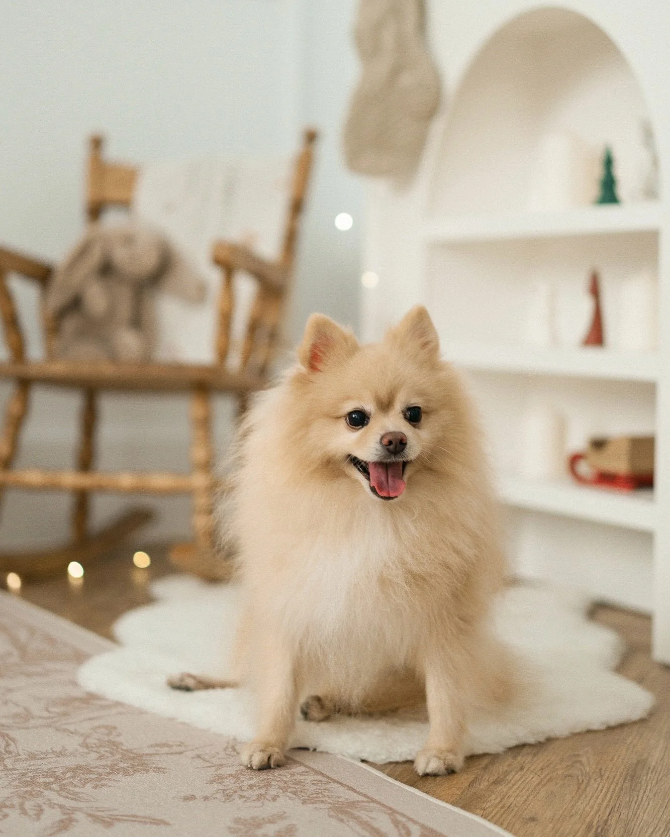 🎄聖誕棚拍即將額滿 #新北板橋

每一張都太漂亮～
Rurumi色調連名字都跟我們好搭🐶🤎

謝謝主人細心帶著漂亮尿布🫶🏻

聖誕棚拍最後卡位！！
📅 12/20、12/23

聖誕棚景開放到✨12/31
單租棚景/其他檔期歡迎私訊

⭐️Lumi棚景定時清消/
一次僅接待一組客人安心來棚

-

🐶 @iamrurumi 
📸 @leoncheng_ 

𝘓𝘶𝘮𝘪 𝘴𝘵𝘶𝘪𝘥𝘰 板橋實景攝影棚
商業拍攝 | 活動場地 | 空間租借 | 母嬰友善

#板橋攝影