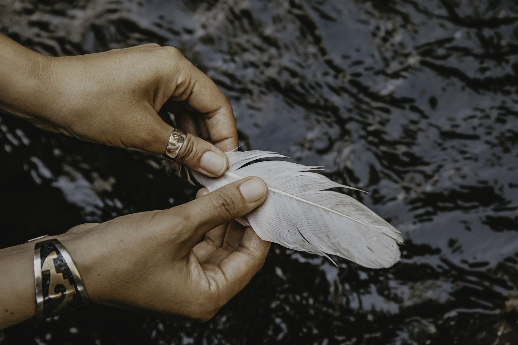 Hands holding a white feather with water ripples in the background.