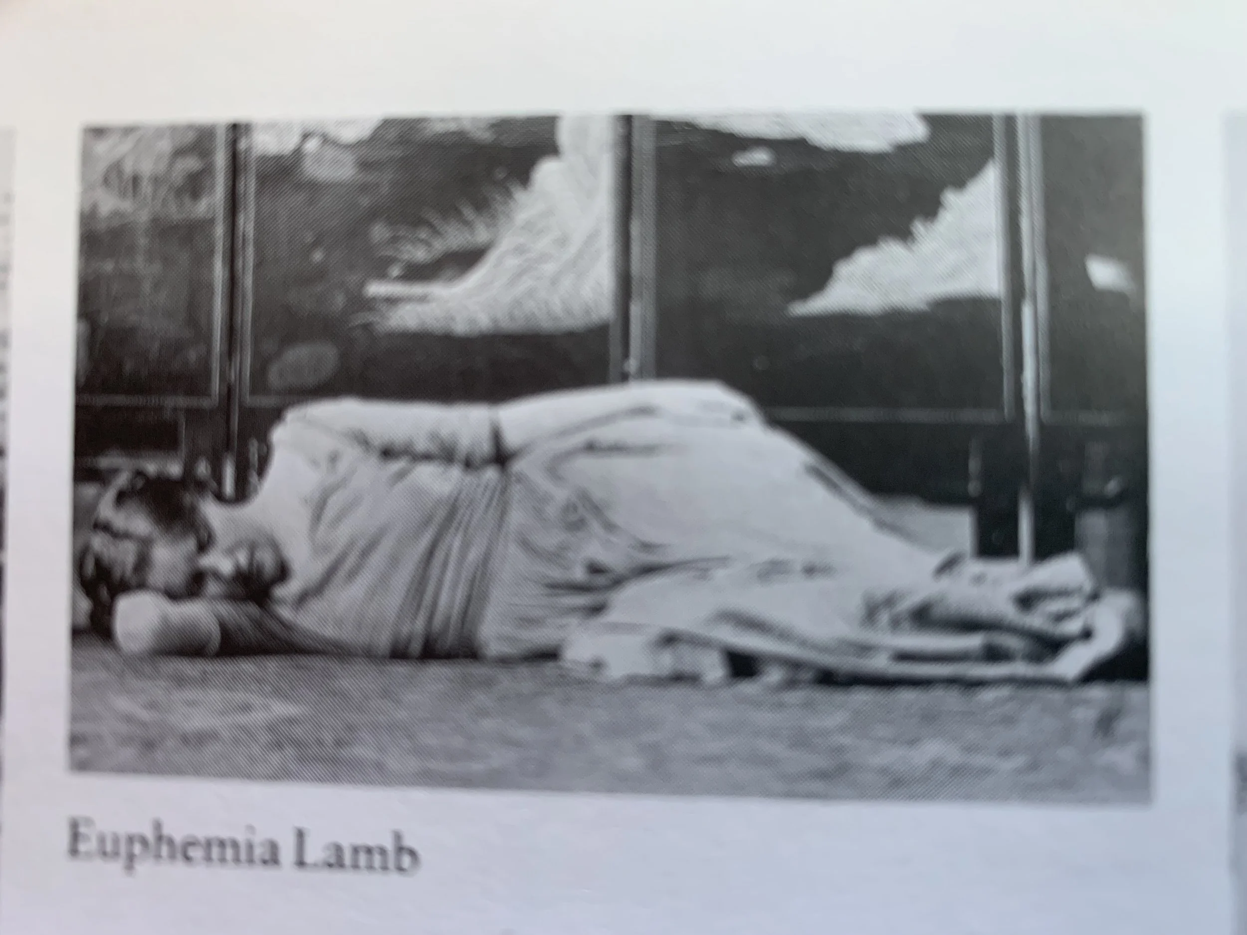 photograph of Euphemia