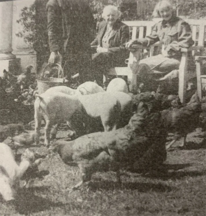 older Euphemia at Stoke with her animals