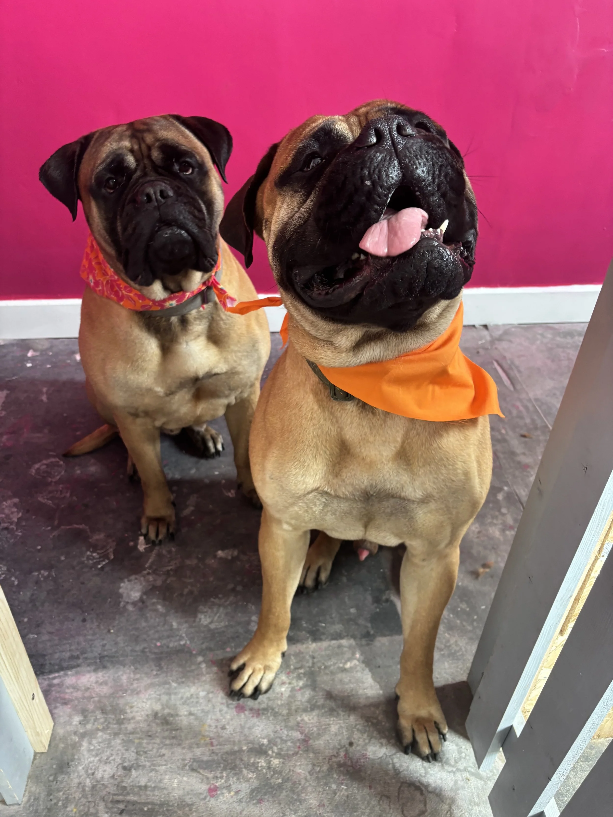 image00042 - Copy.jpeg