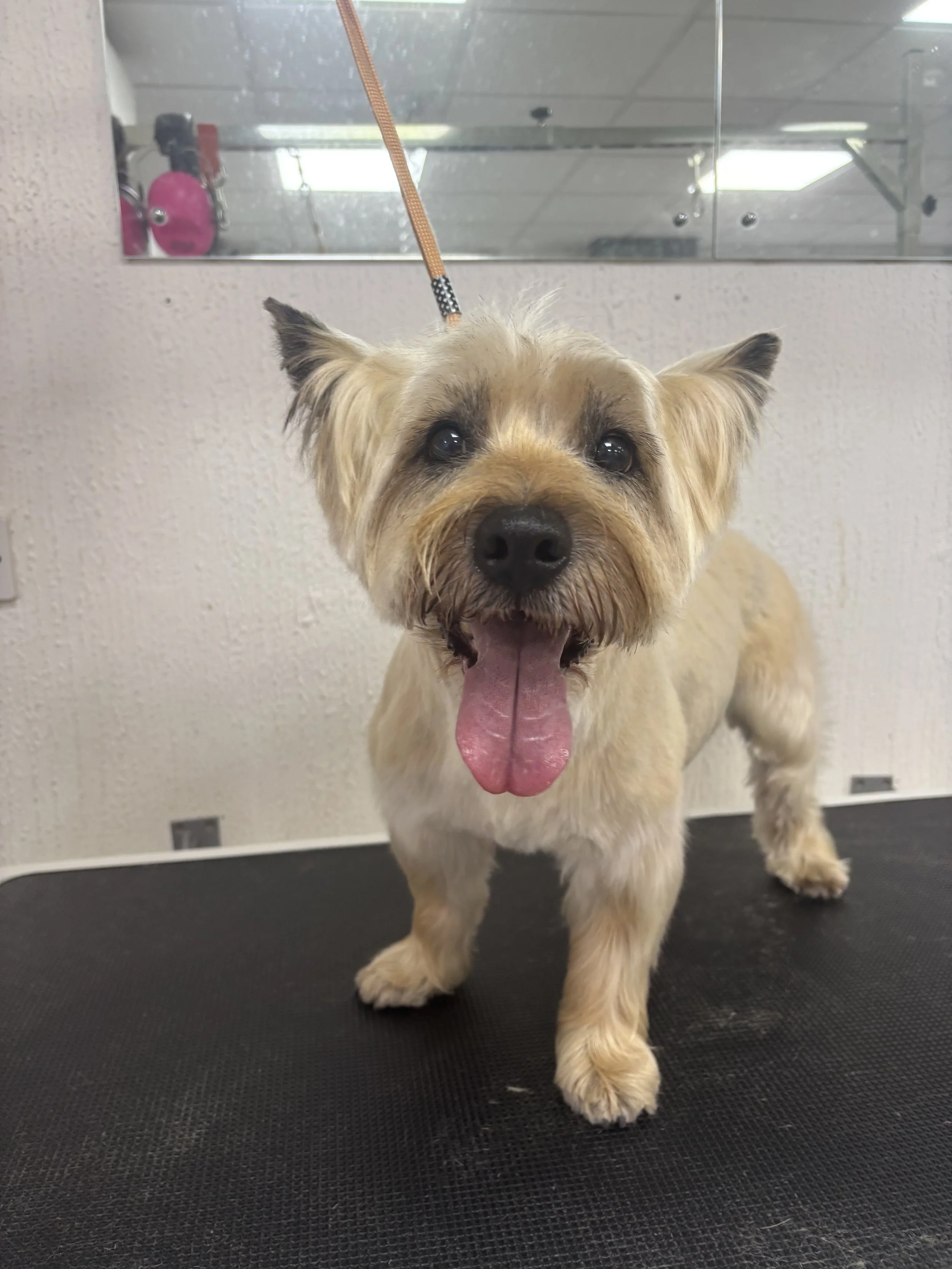 image00006 - Copy.jpeg