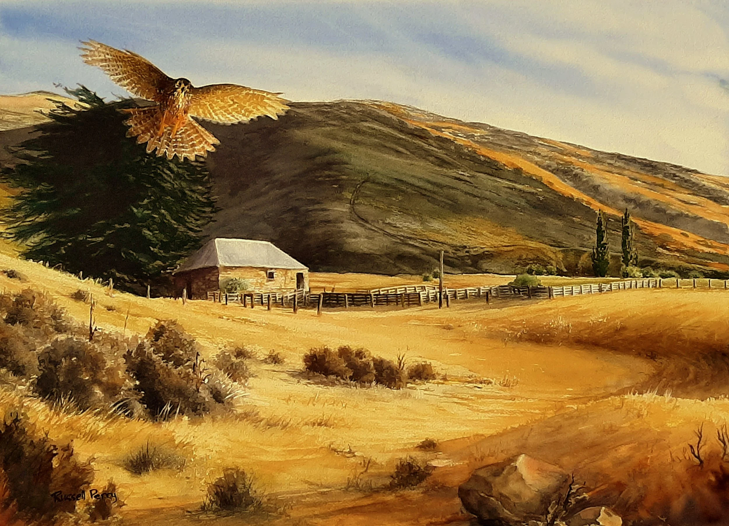 Russell Perry - Falcon at Stone Barn.jpg