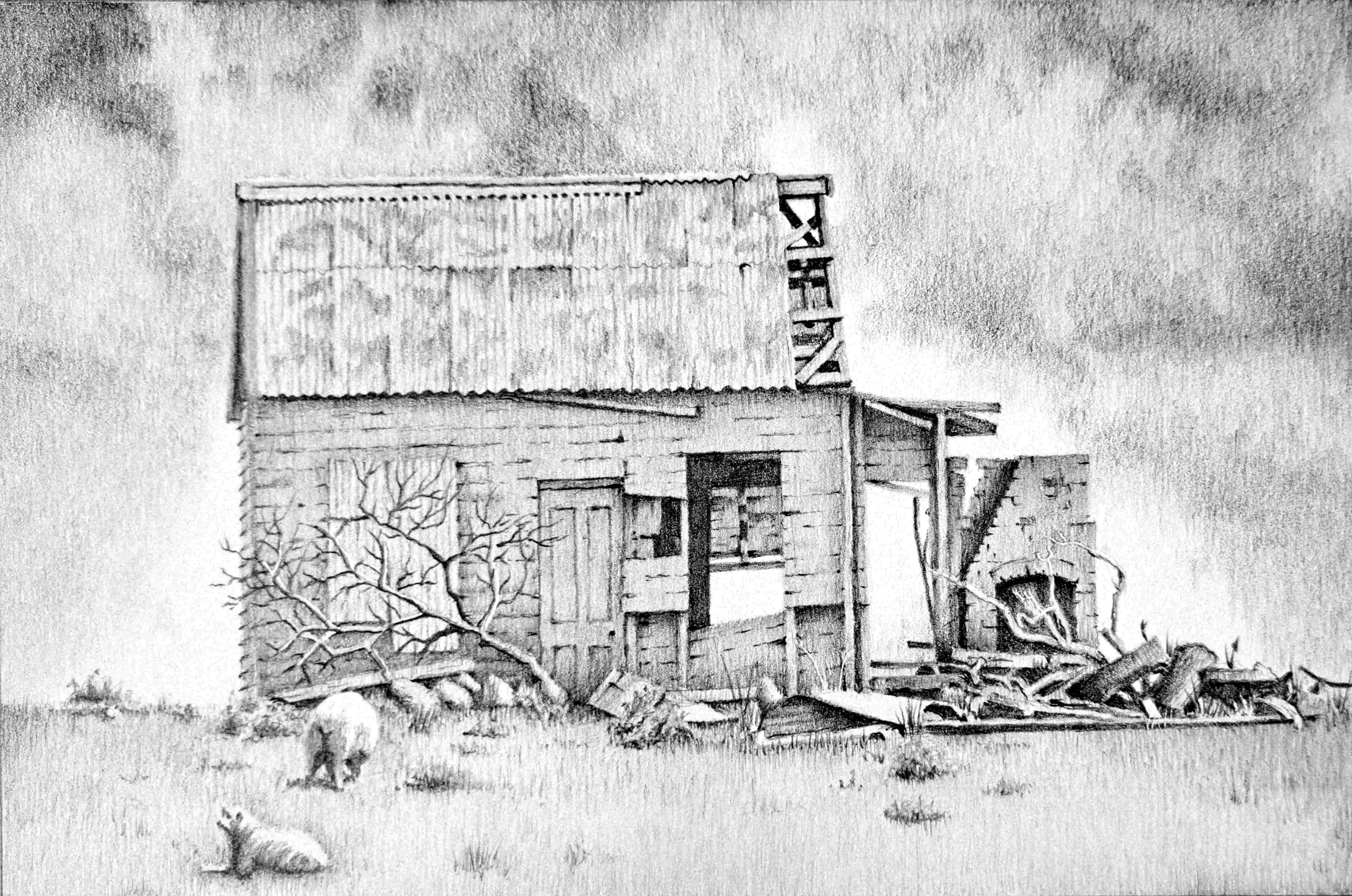 North Bulls crop thumbnail.JPG