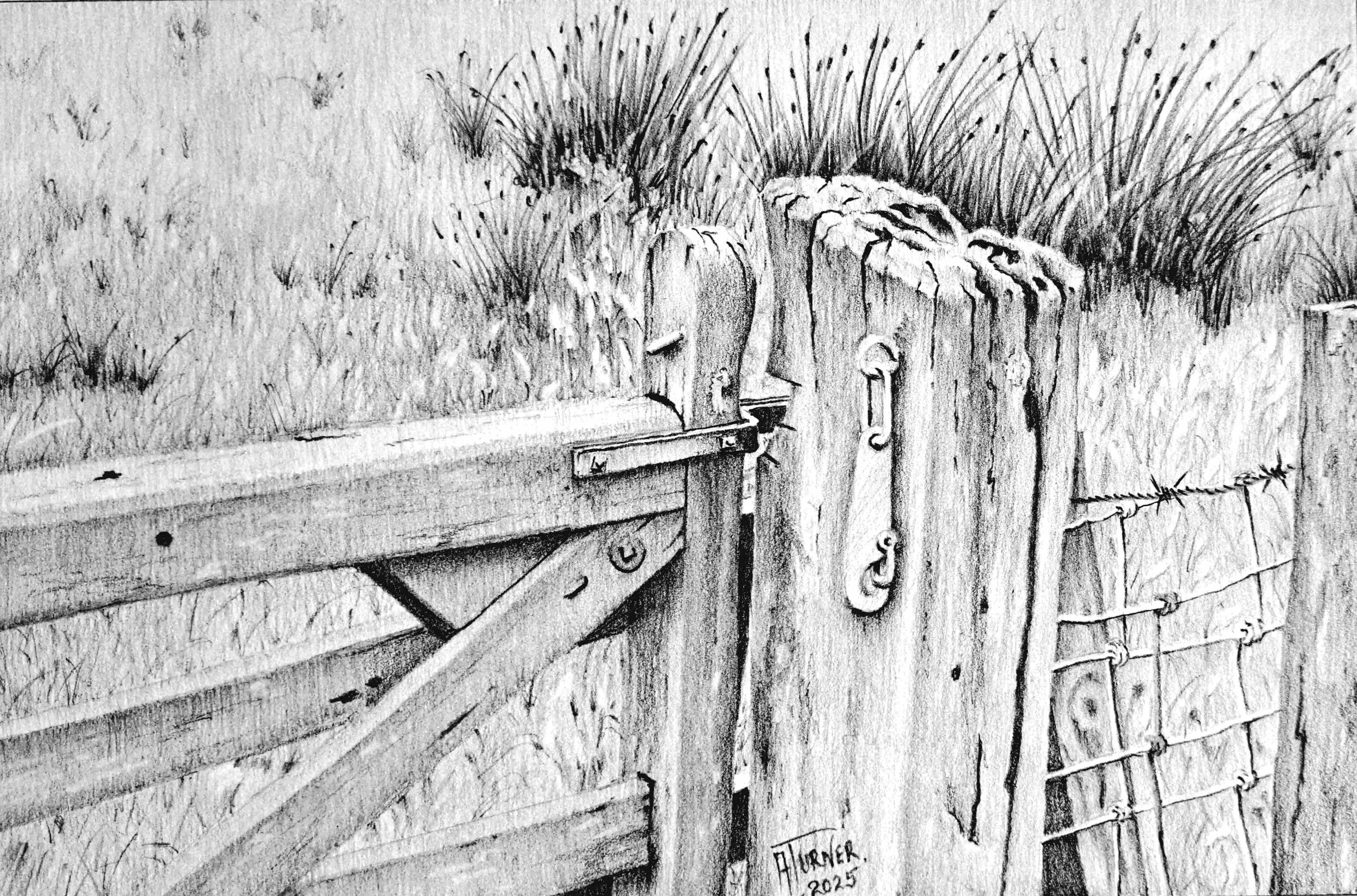 Farm gate crop small.JPG
