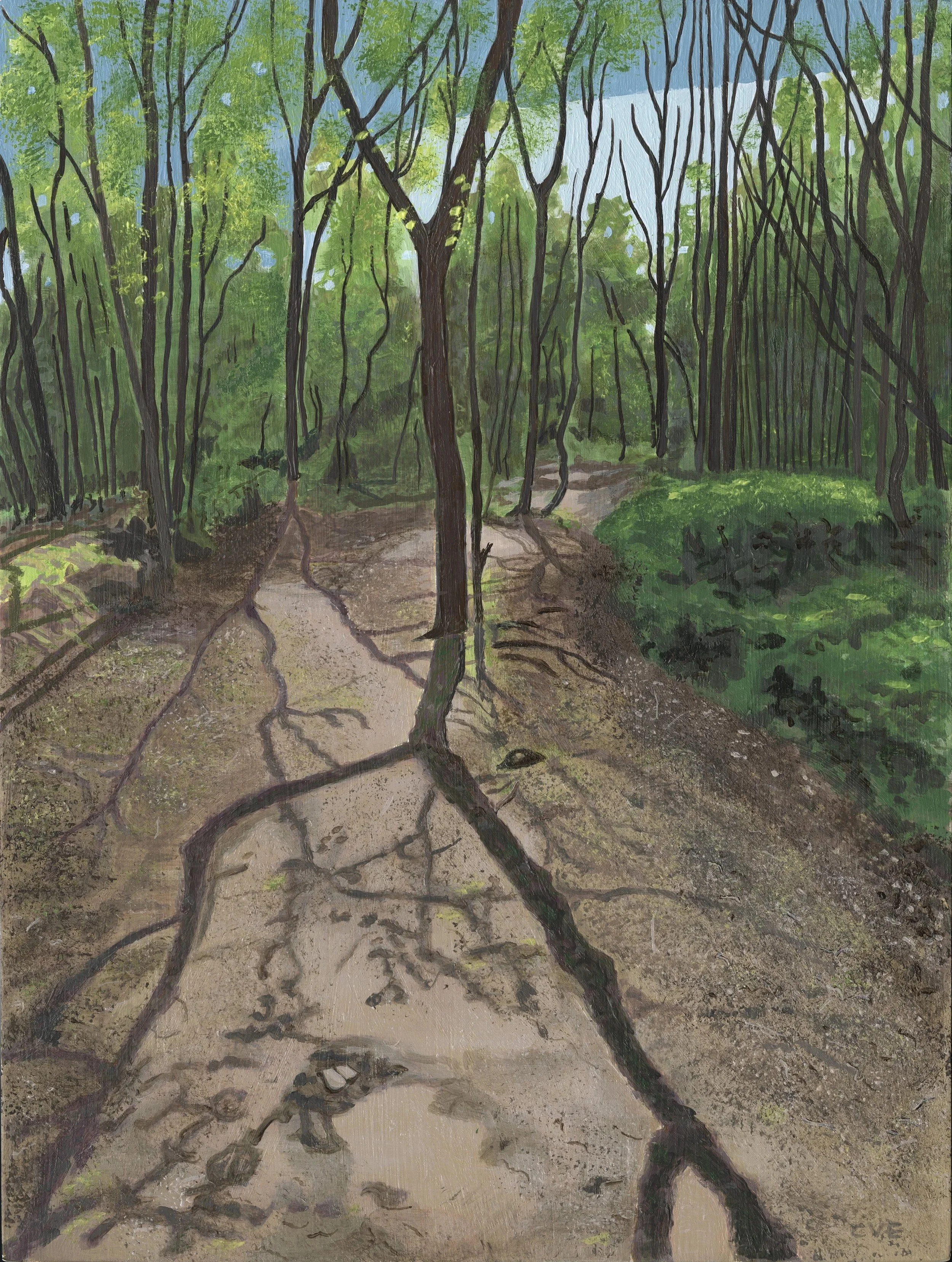Caldy Woods