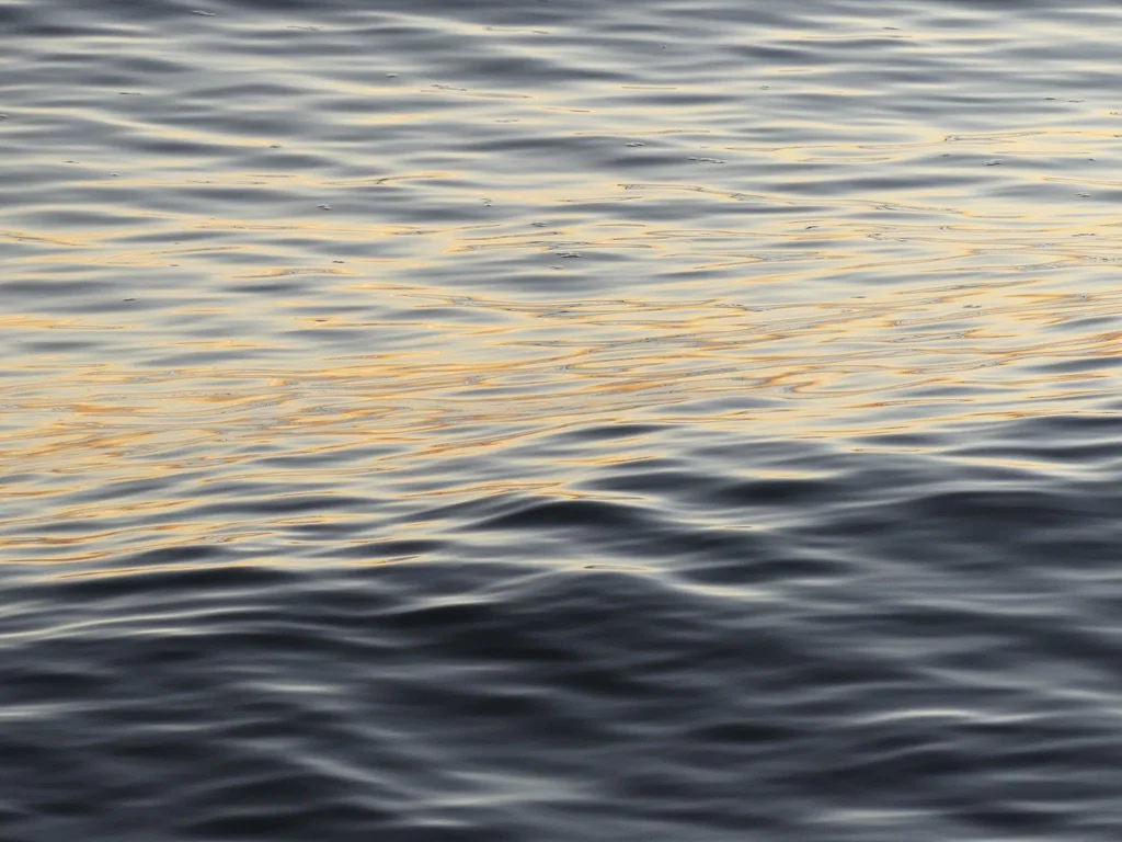 129AEA14-6CF0-417C-BF71-716FA74B2E92_1_105_c.jpeg