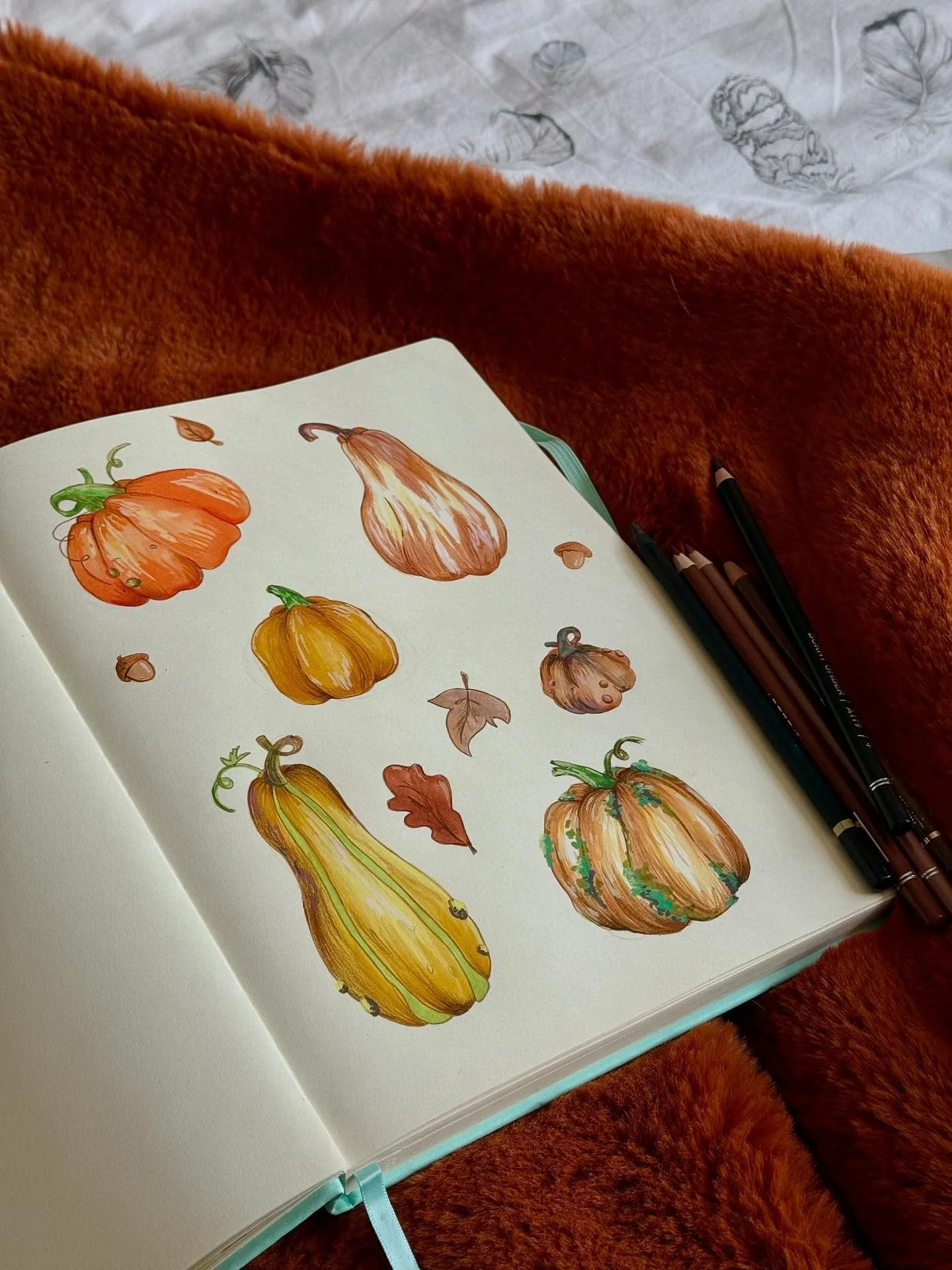 c&rsquo;est vraiment la saison des courges des potirons et citrouilles j&rsquo;adore 🥰 dans mon assiette, dans ma d&eacute;co ou sur mes feuilles de papier elles sont partout en ce moment 🍁🍂

 #automne #art #dessin #sketchbook #autumn #artist