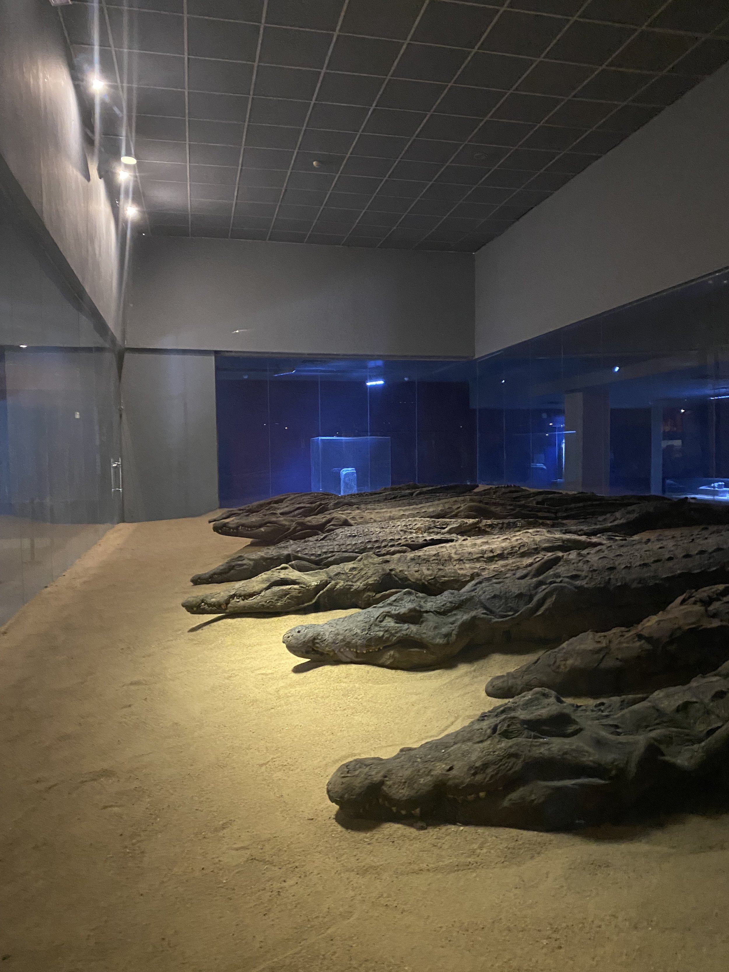 Text from the exhibition: