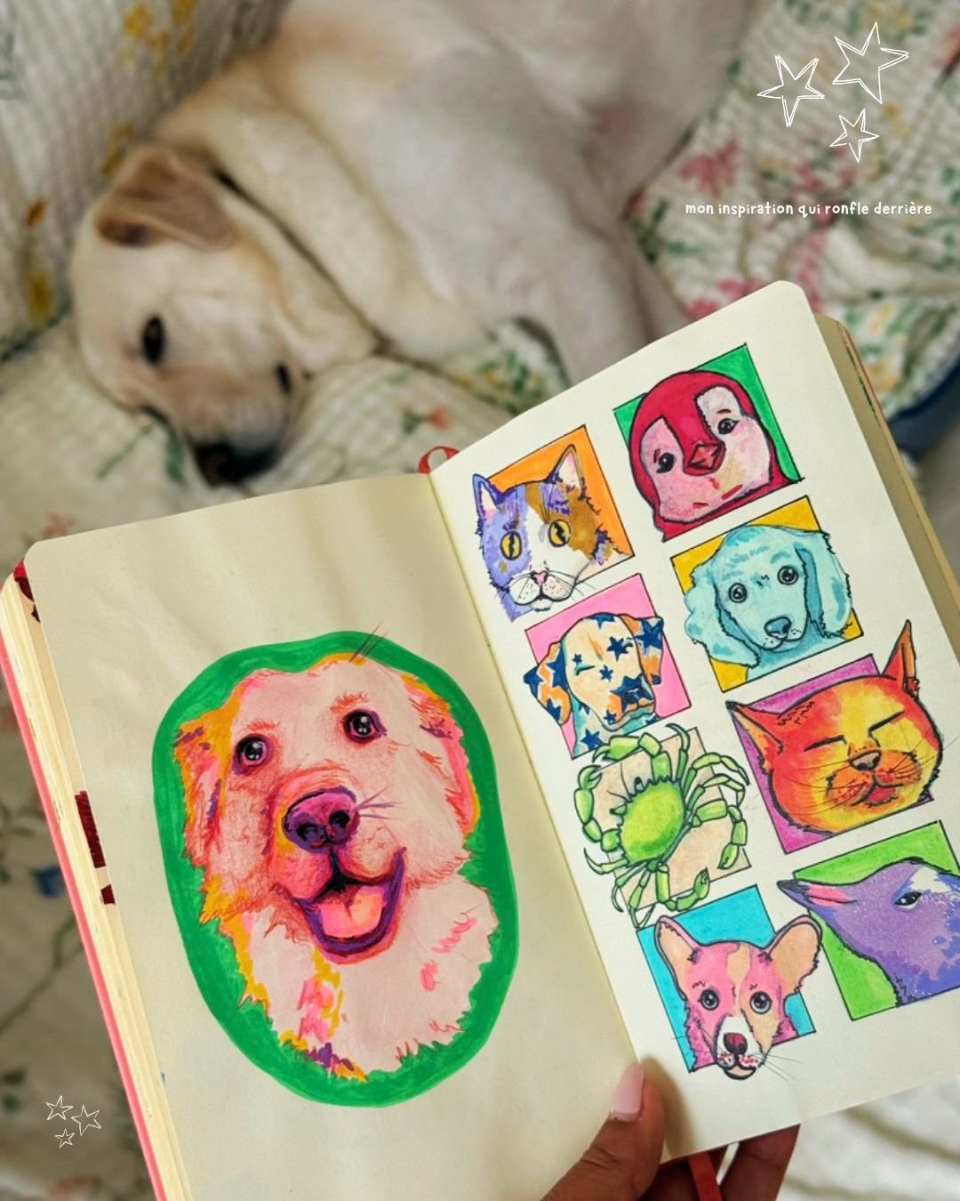 Ma petite Gnocchie et ses amis color&eacute;s 🌈

J&rsquo;avais fait cette page il y a un an, quand on vivait encore dans la grisaille d&rsquo;&Icirc;le-de-France&hellip;
J&rsquo;avais juste envie de couleurs, de peps, de quelque chose qui fait du bi