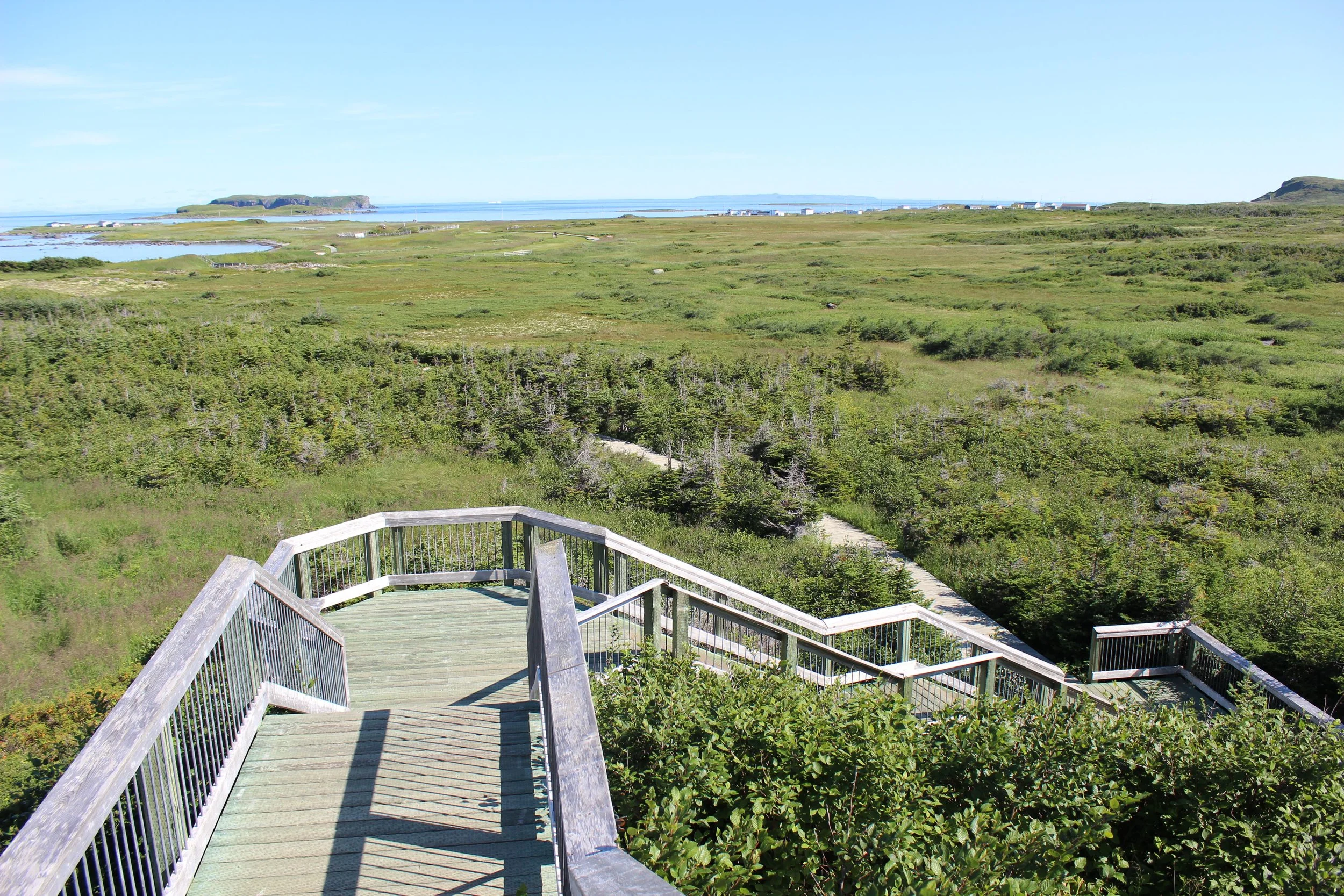 L'anse aux Meadows, CA.jpg