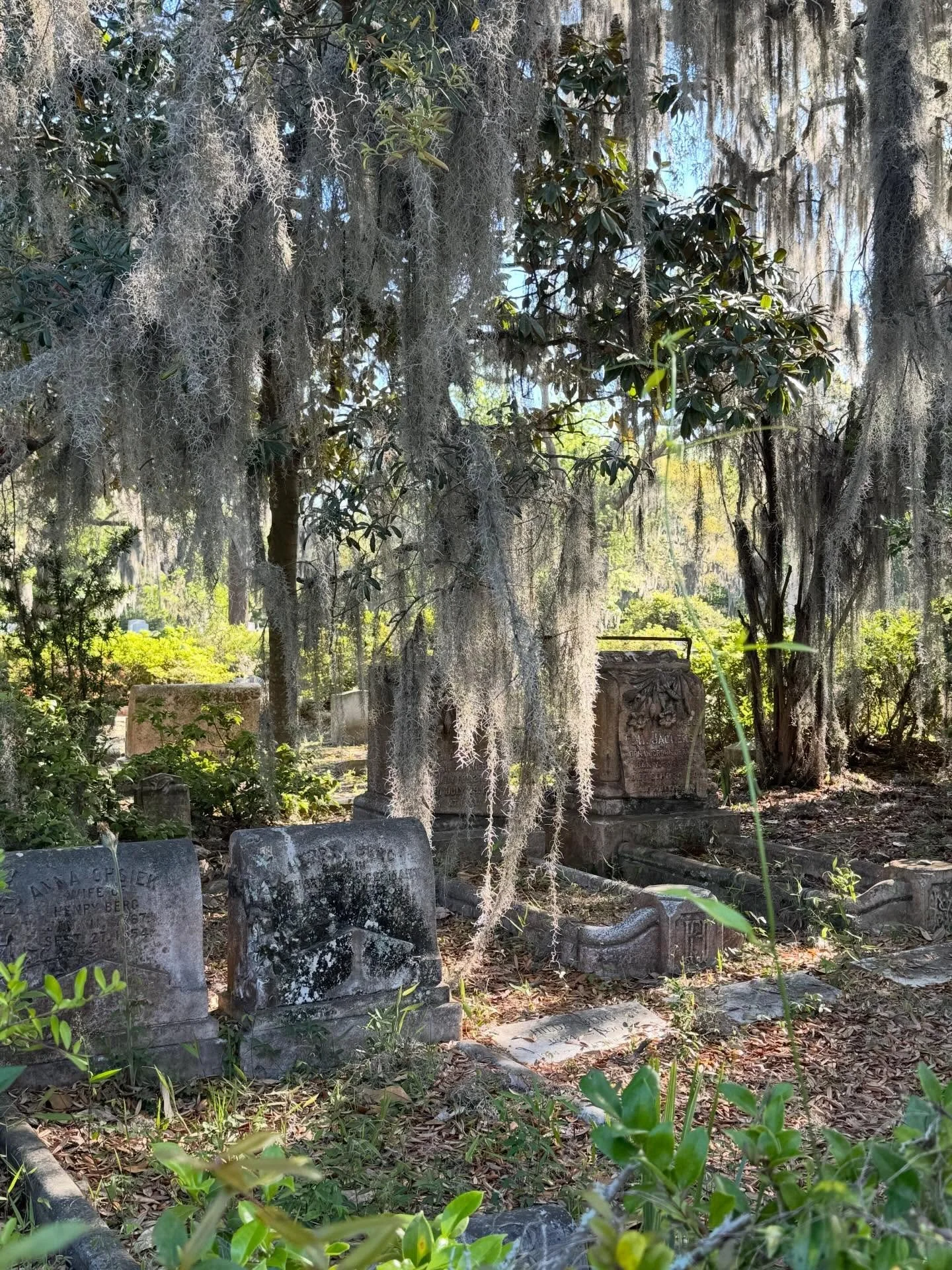I love going to new cities. This is my first time in Savannah. I got here a day early before a conference. I went on a golf cart tour of Bonaventure Cemetery this morning (rating-5*) and an historical trolley tour this afternoon (rating-4*). Gorgeous