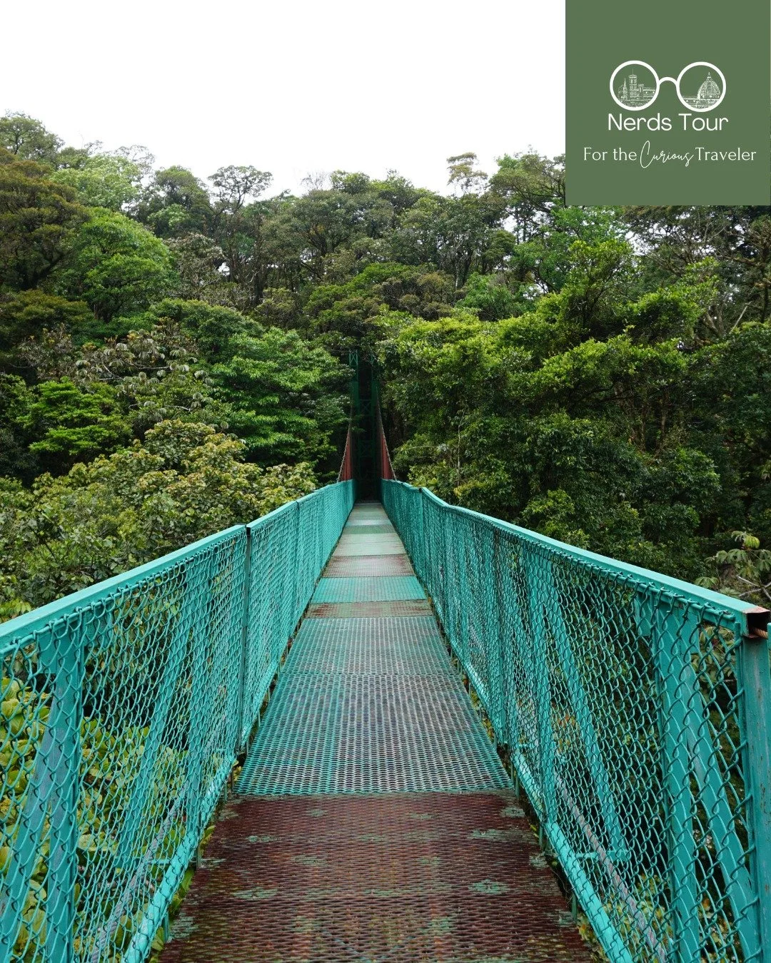 Somewhere in the rainforest above Manuel Antonio, a mother and her triplets are celebrating a birthday this week &mdash; and this morning they spotted a howler monkey on the trail through Manuel Antonio National Park. I told them they brought the tra