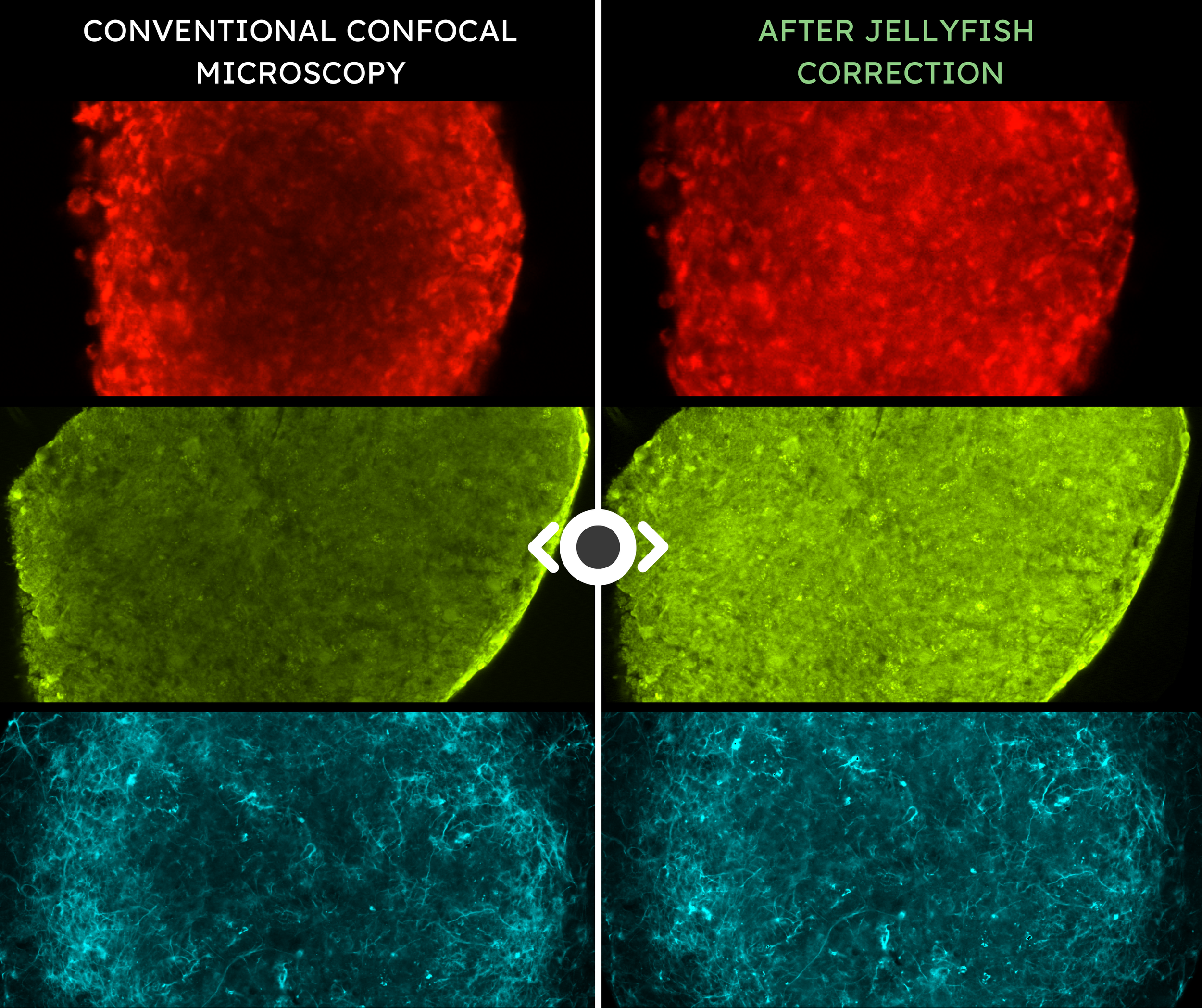 Sample Corrections from Ongoing Collaborations