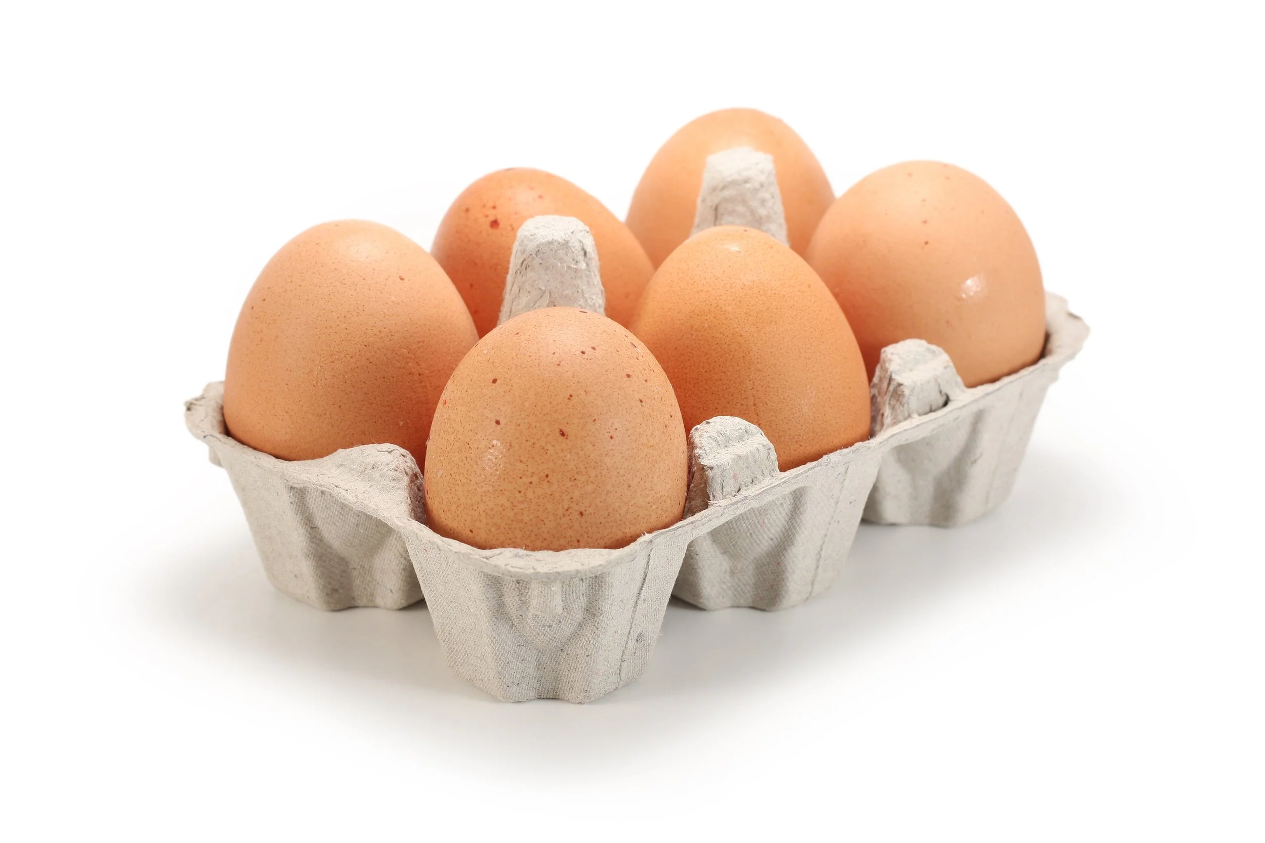 The Importance of Protein. 