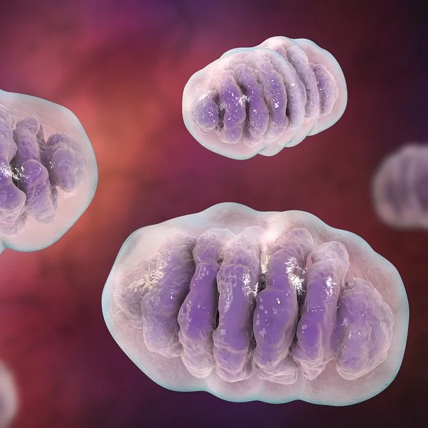 mitochondrial health_edited.jpg