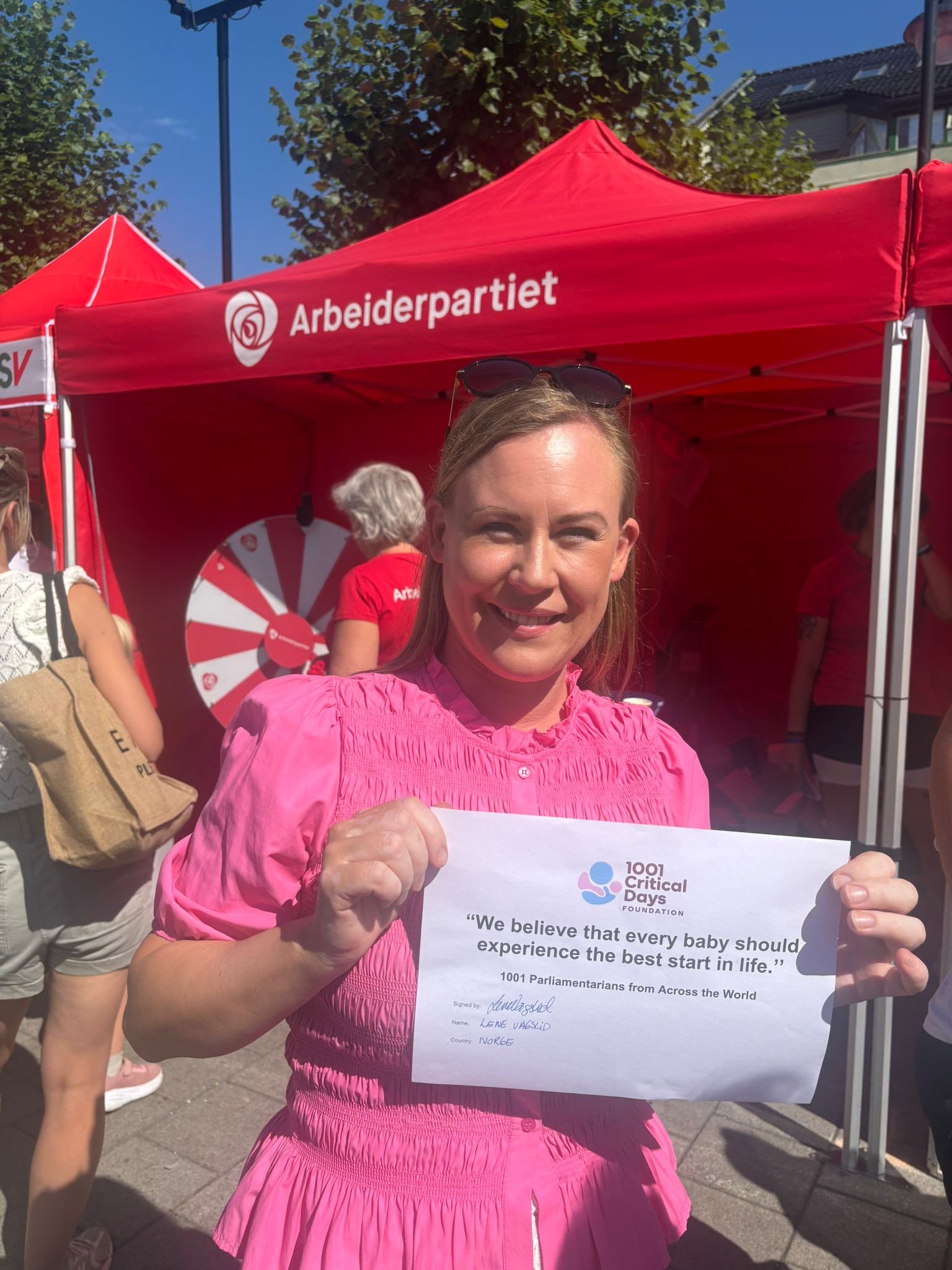 Lene Vagslid Declaration.JPG