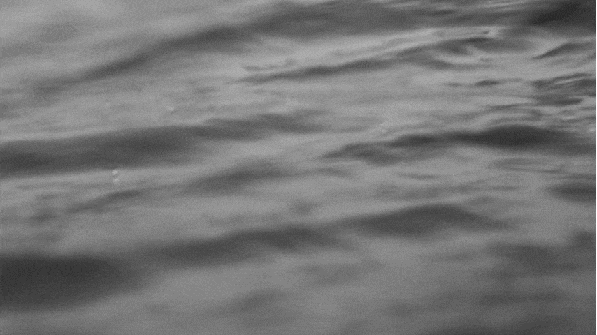 LE CHAMPION | THE NORTH SEA SYMPHONY