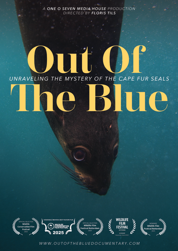 OUT OF THE BLUE