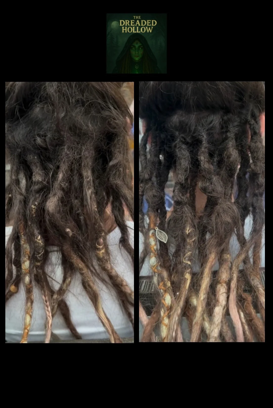 Comparison of two dreadlock hairstyles showing before and after grooming or styling, with a book titled 'The Dreaded Hollow' in the top center.