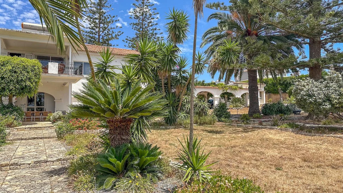 Front yard with tropical plants, palm trees, and a Mediterranean style house with arches and a tiled roof