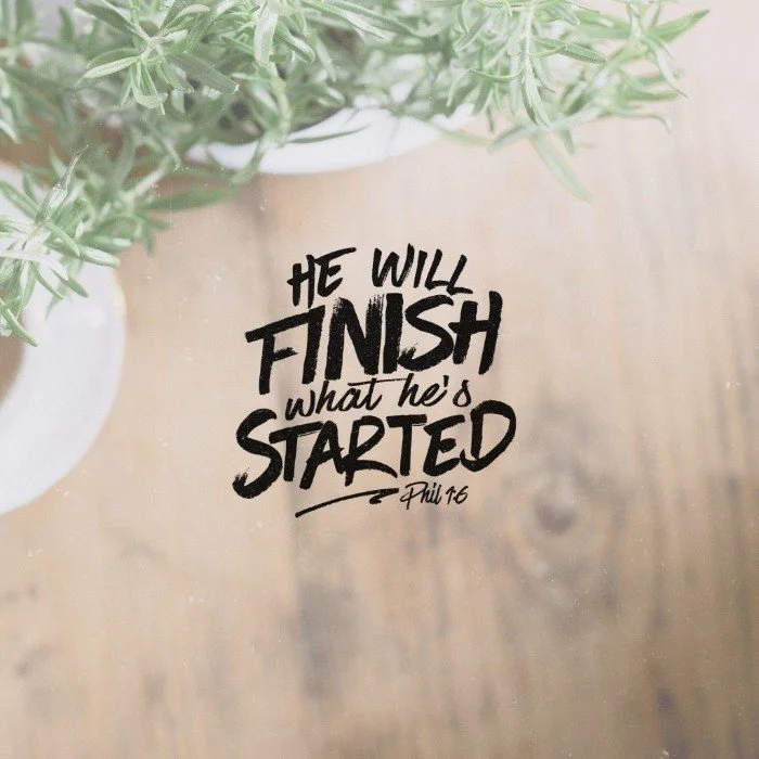 Inspirational quote on image with plant background