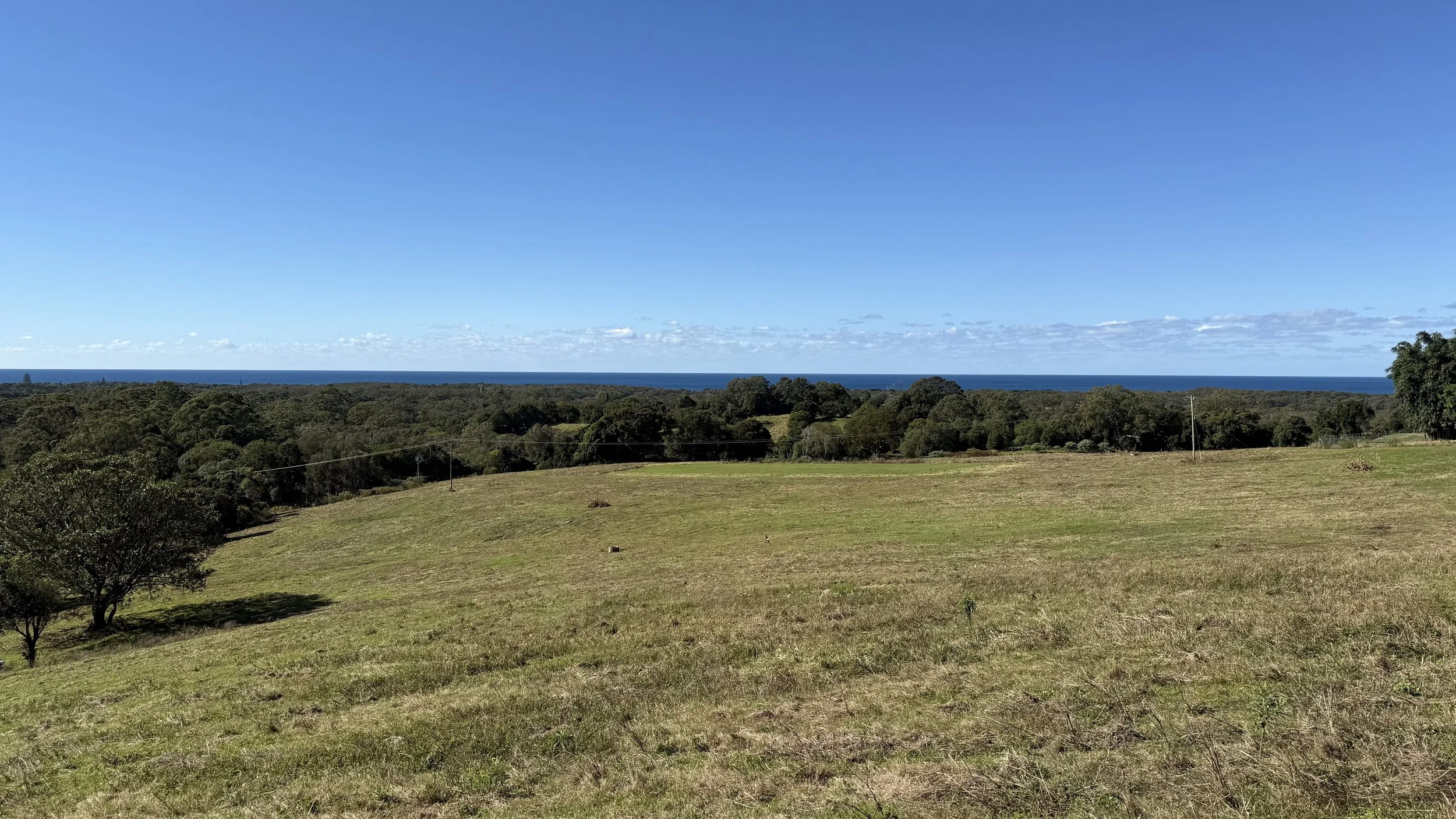 Open grassy field with sparse trees, dense forest in the distance, blue ocean beyond the trees, and a clear blue sky overhead on The Saddle Road, Gulgan Village.