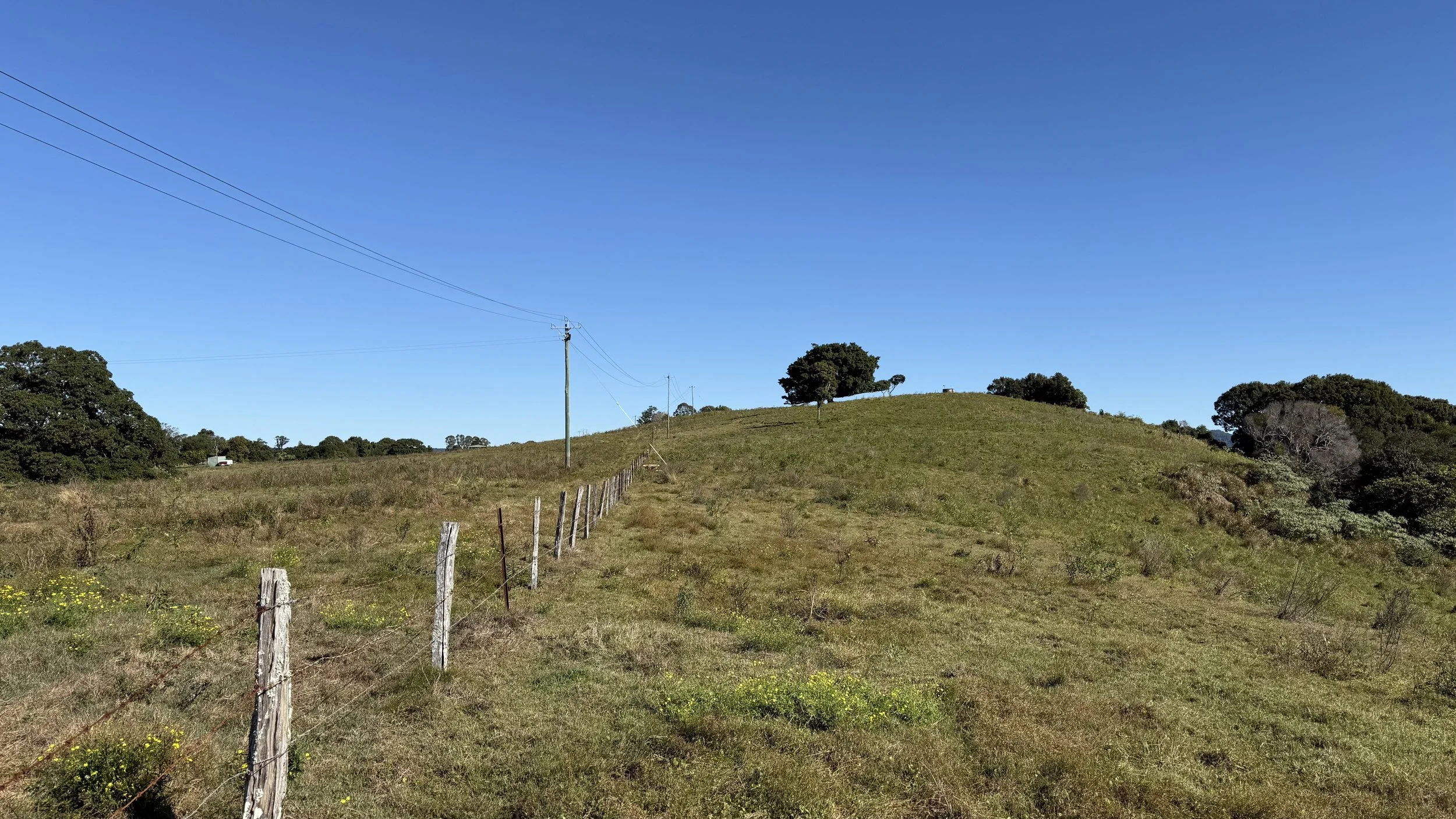 A rural landscape with a grassy hill, scattered trees, a fence running along a dirt path, and a blue sky with a few power lines on The Saddle Road, Gulgan Village.