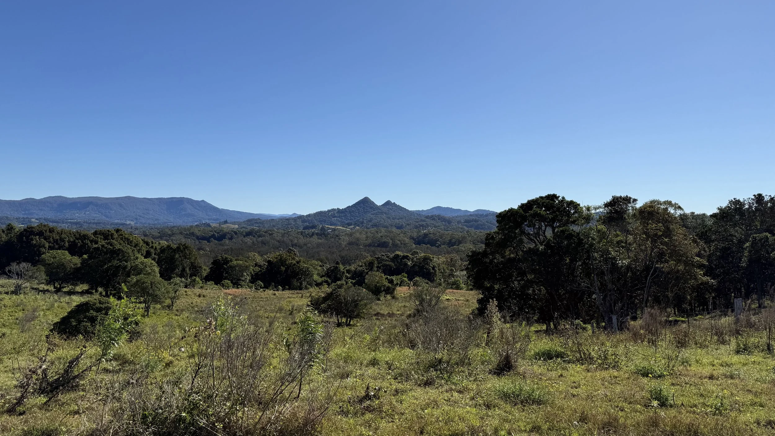 A landscape with green trees in the foreground, hills and mountains in the background, and a clear blue sky on The Saddle Road, Gulgan Village.