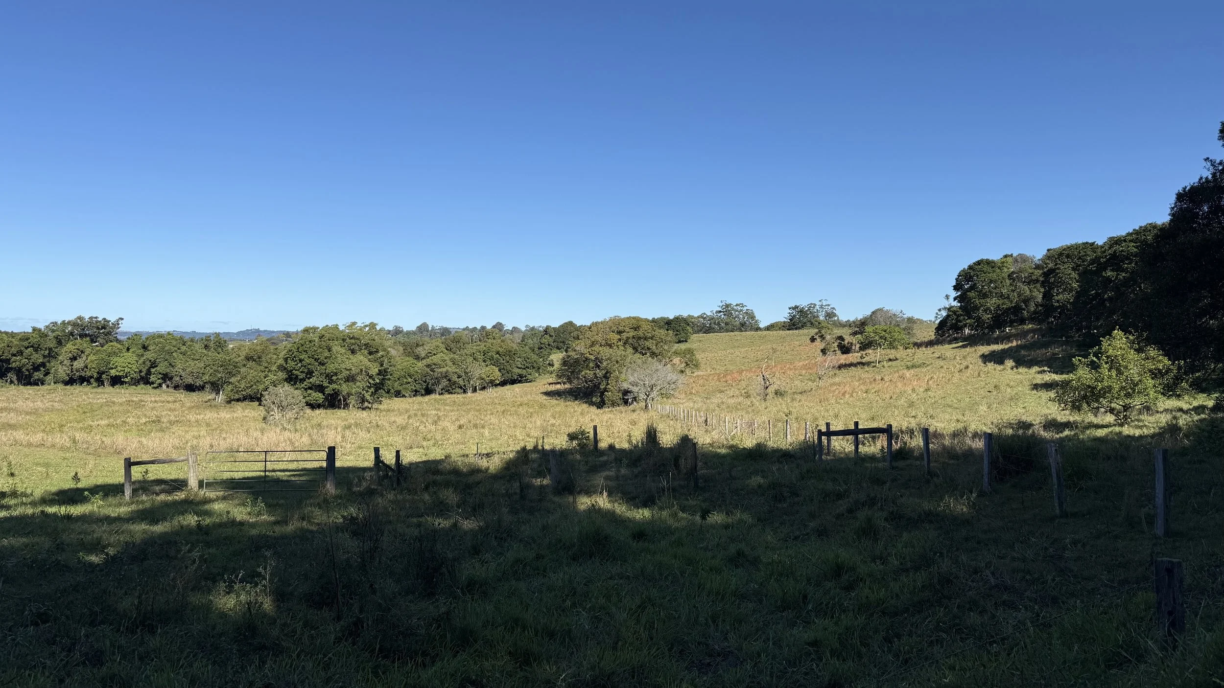 A landscape of open grassy fields with scattered trees, some hills, and a bright blue sky overhead on The Saddle Road, Gulgan Village.
