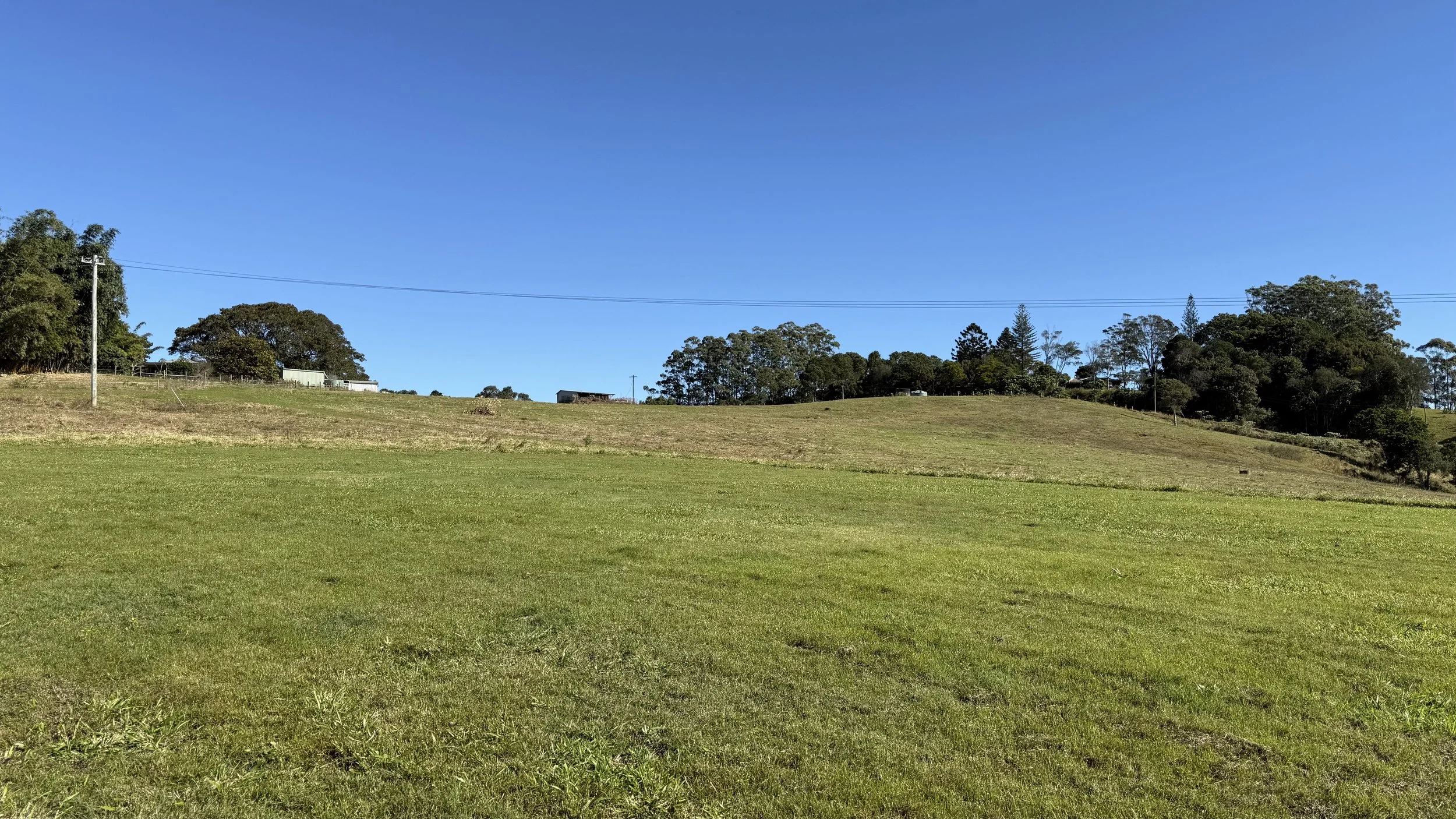 A rural landscape with a clear blue sky, green grass in the foreground, and a hillside with trees and a few small buildings or sheds in the background on The Saddle Road, Gulgan Village.