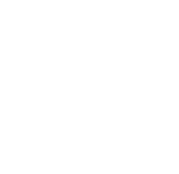 Website Icons-01.png