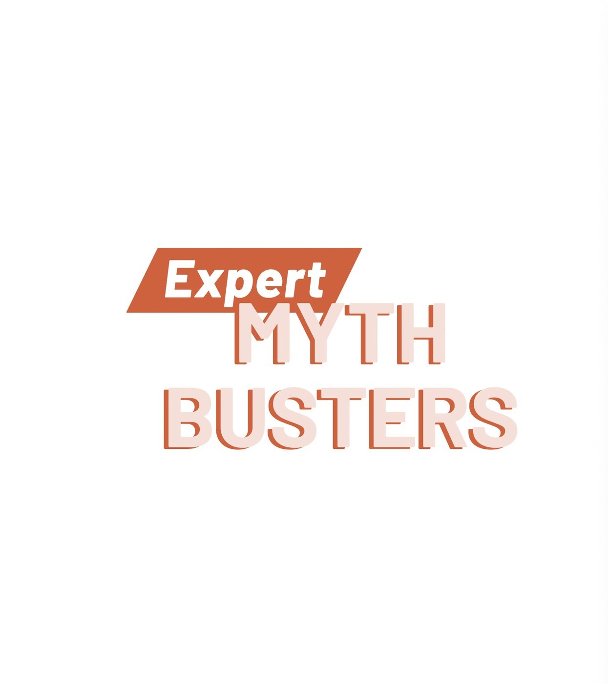 Myth busters logo 2