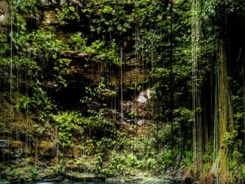Chable+Yucatan+Cenote.png