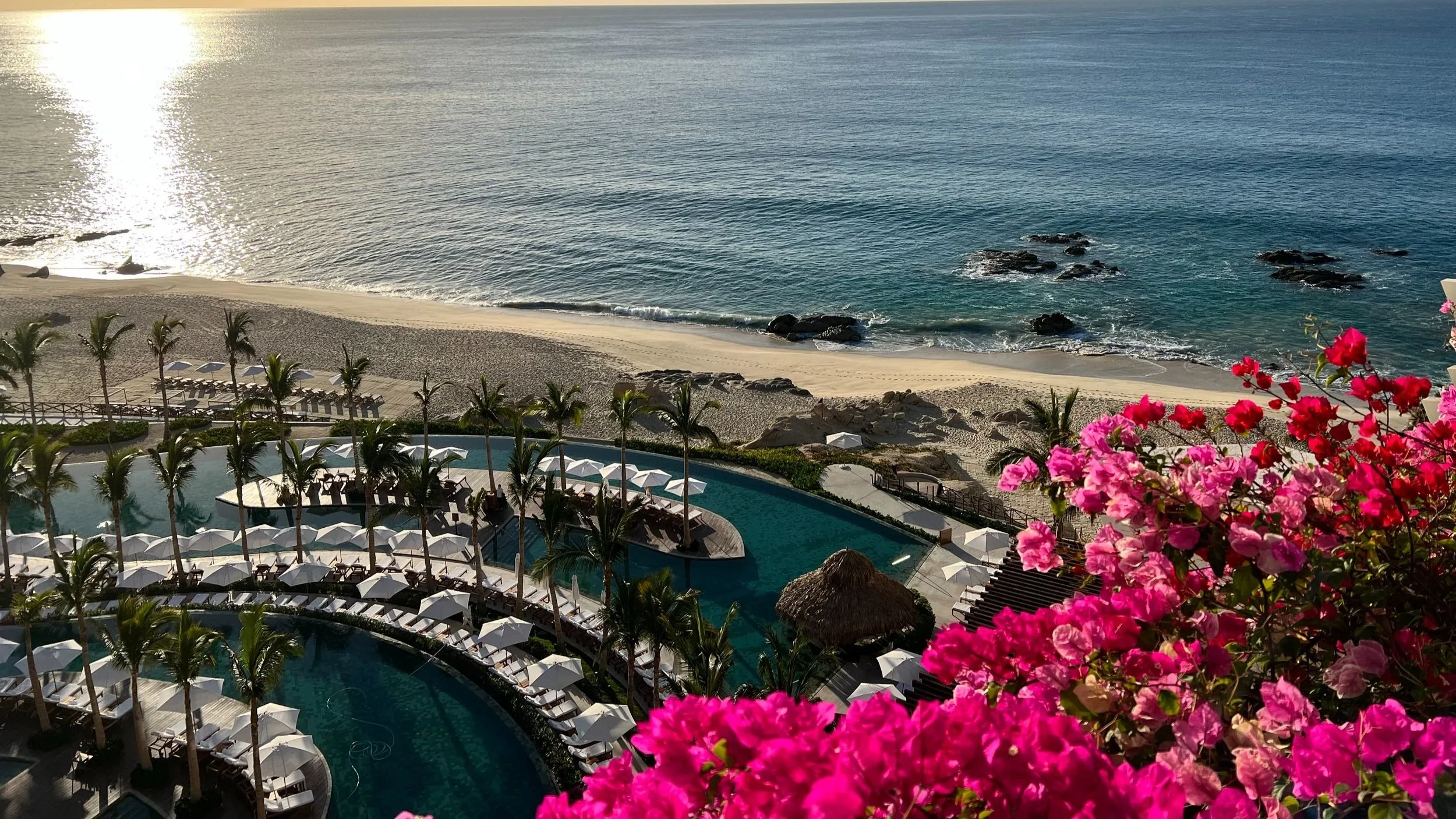 Wellness Retreats Mexico.webp