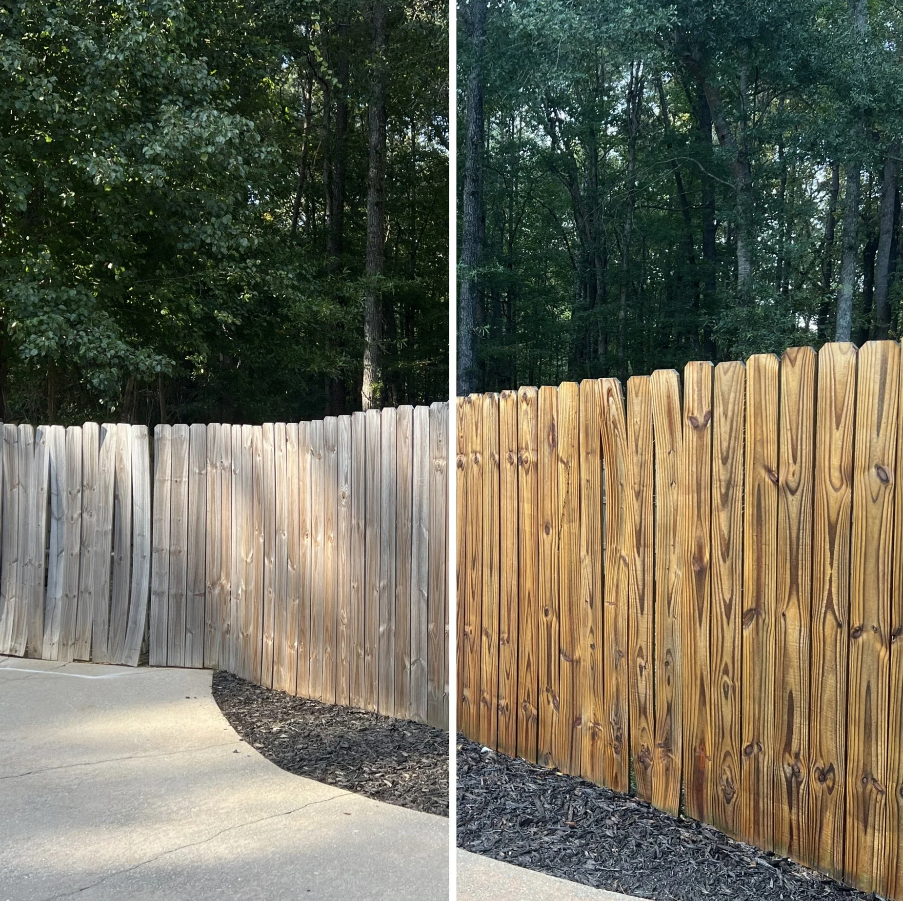 before and after of a pressure washed fence