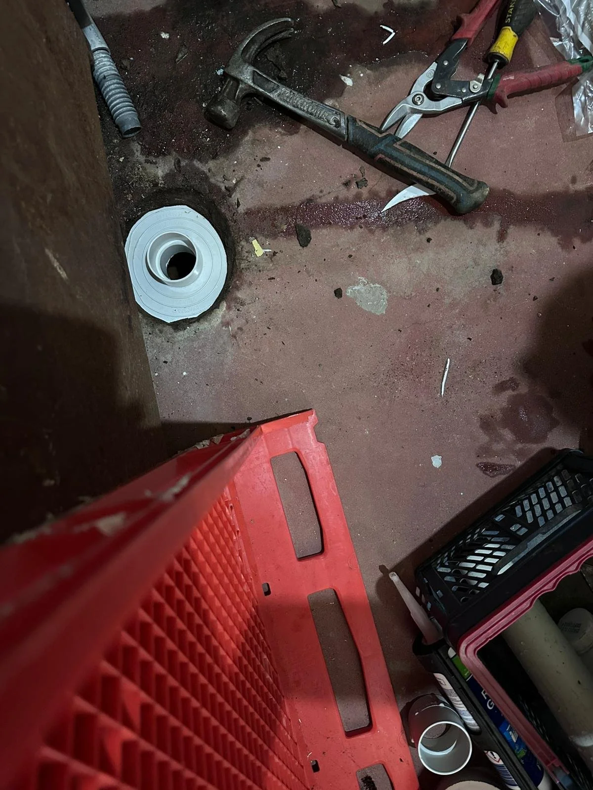 WhatsApp Image 2025-05-16 at 20.43.40.jpeg