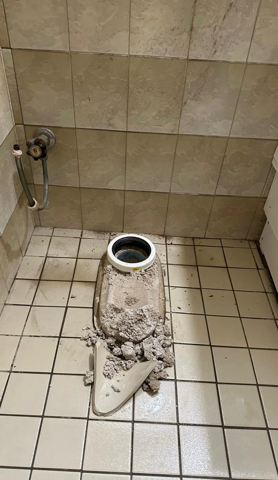 WhatsApp Image 2025-05-15 at 21.55.40.jpeg