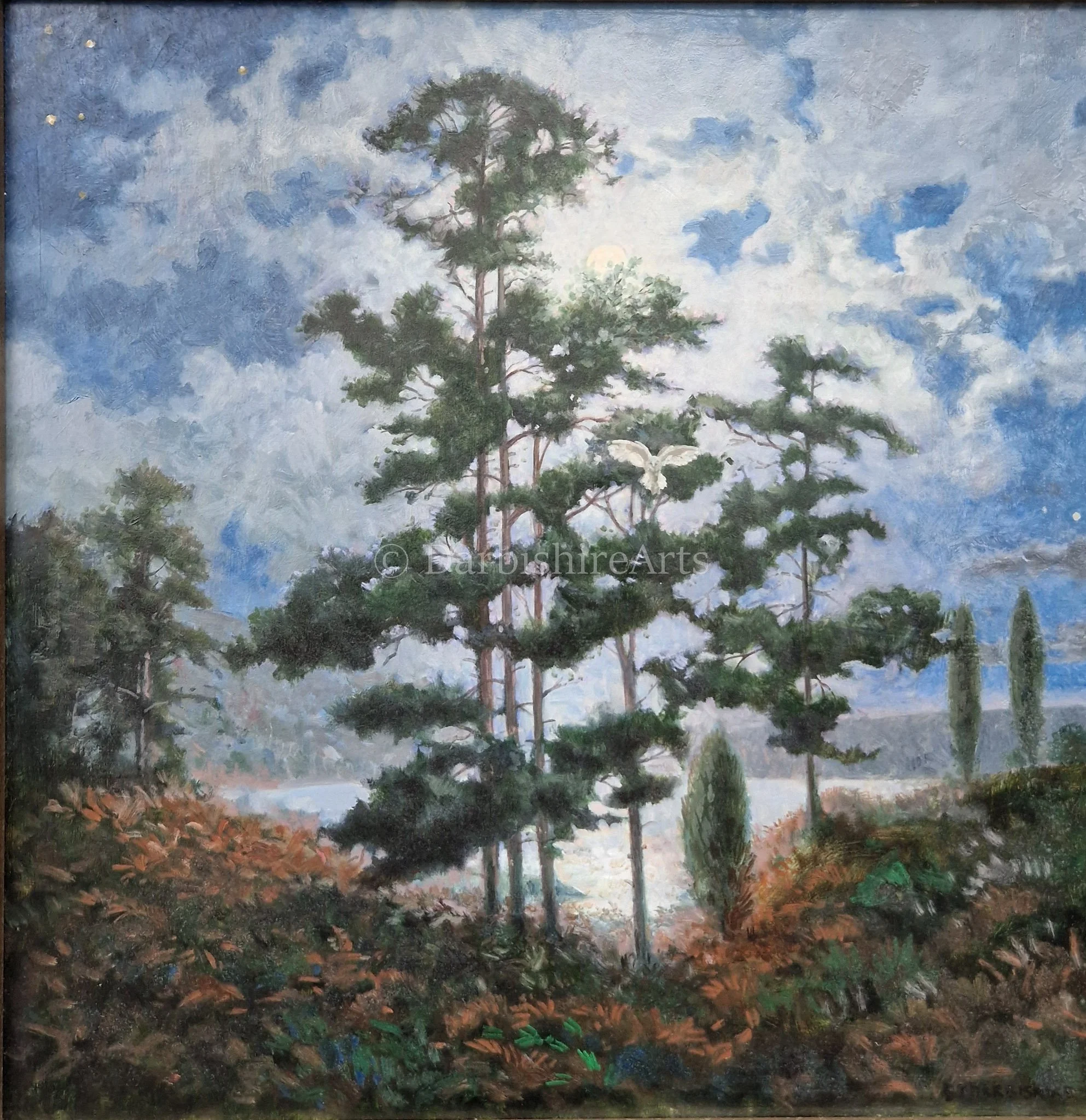 Moonlight Through The Pines.jpg