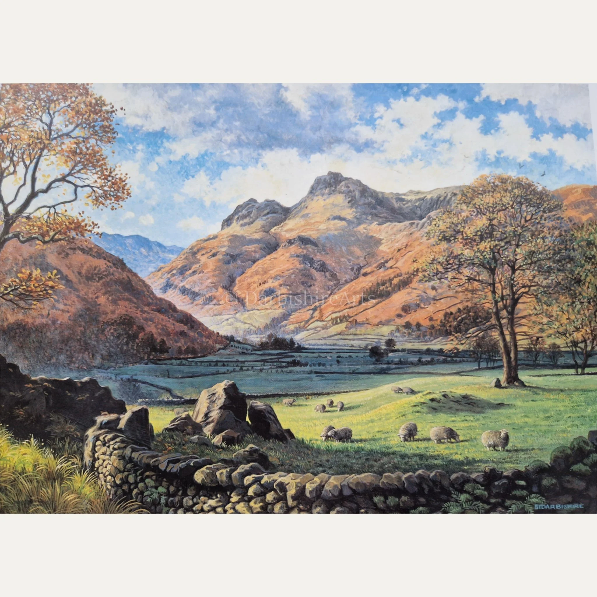 Large Prints - Stephen