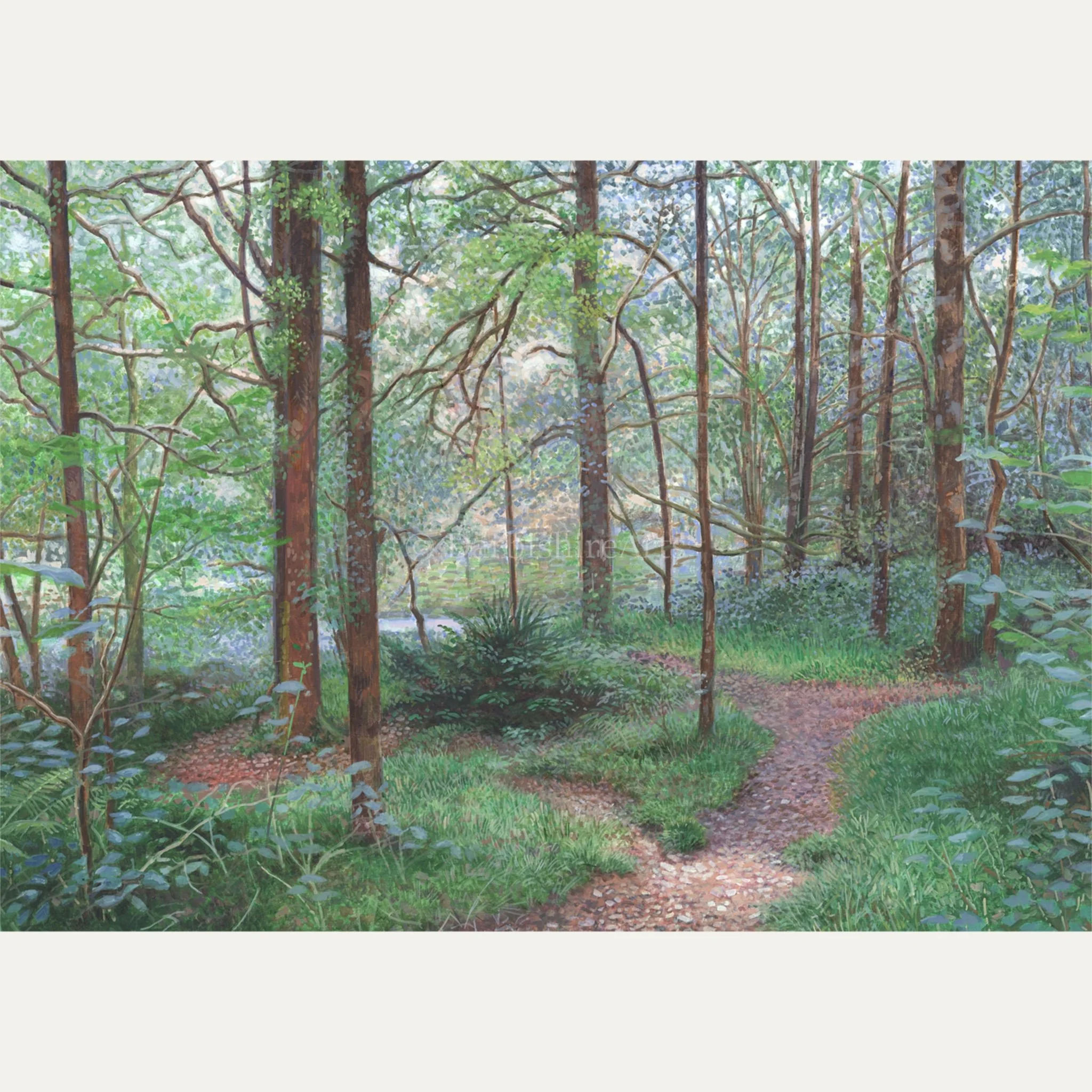 on the way to elterwater.jpg