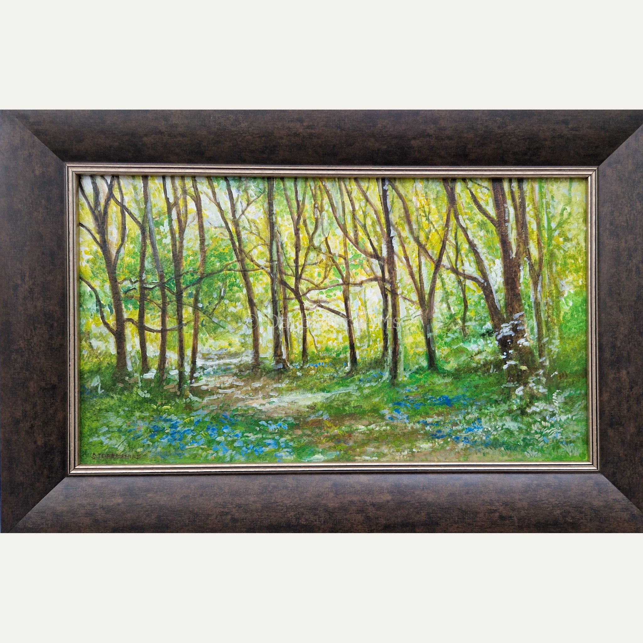 first bluebells_framed.JPG