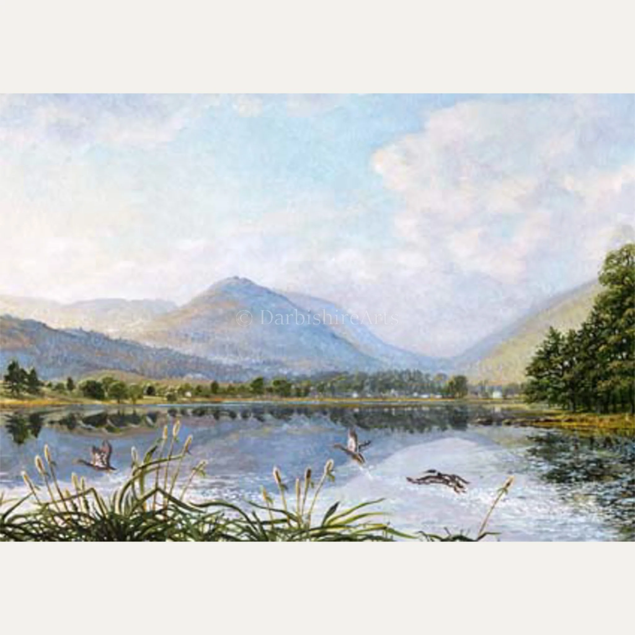 ducks over grasmere.jpg