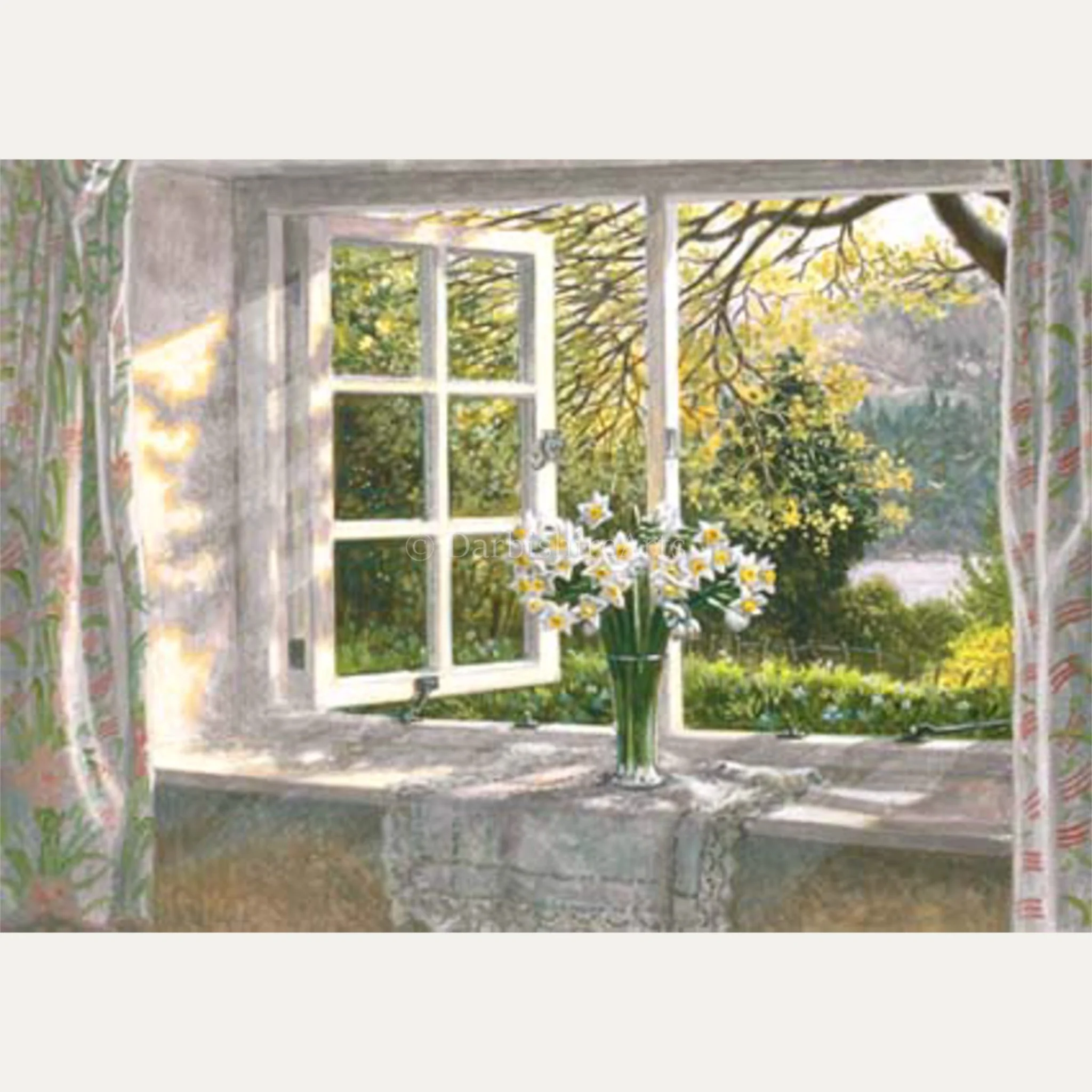 Large Cards - Stephen